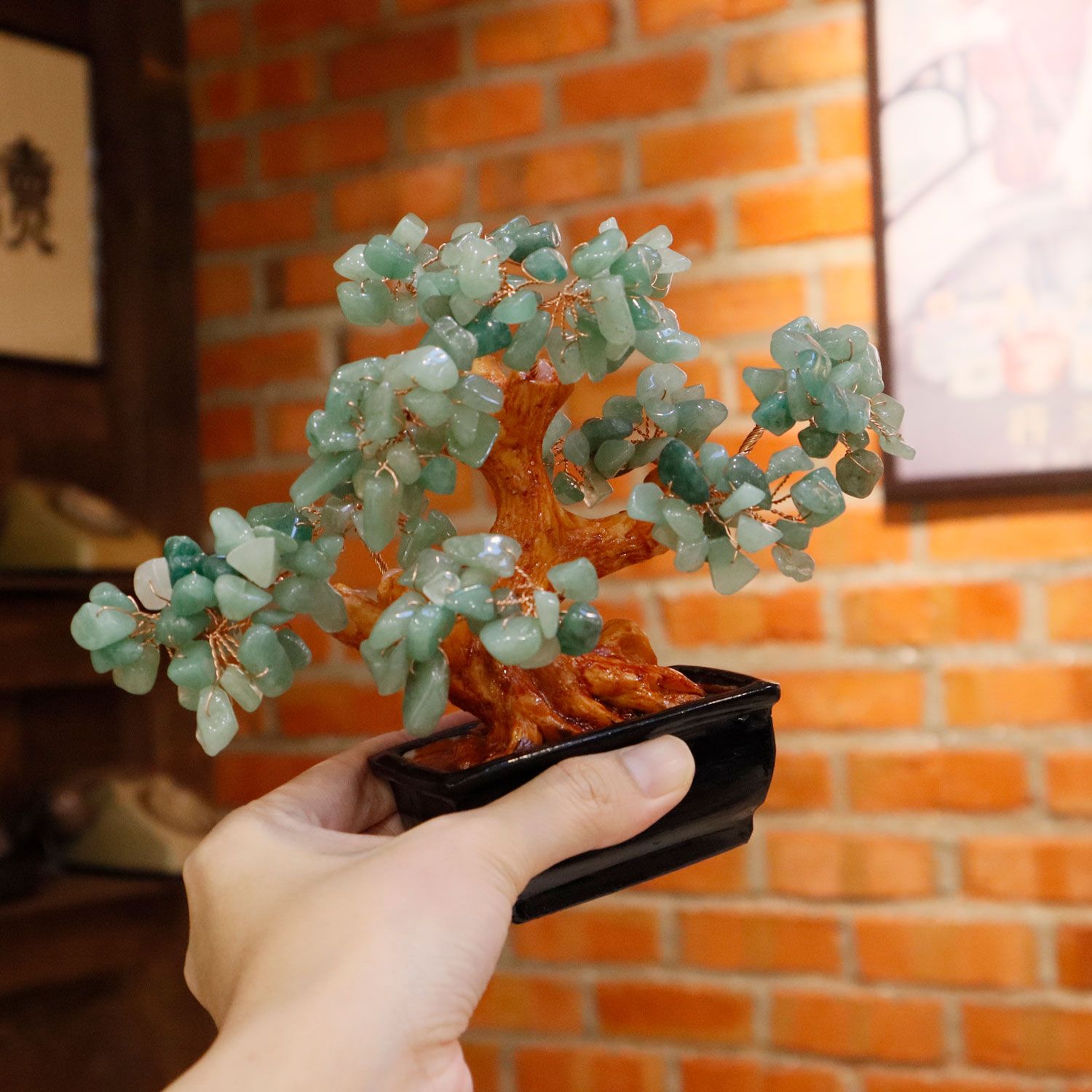 东陵玉招财树 - 长方形小盆
