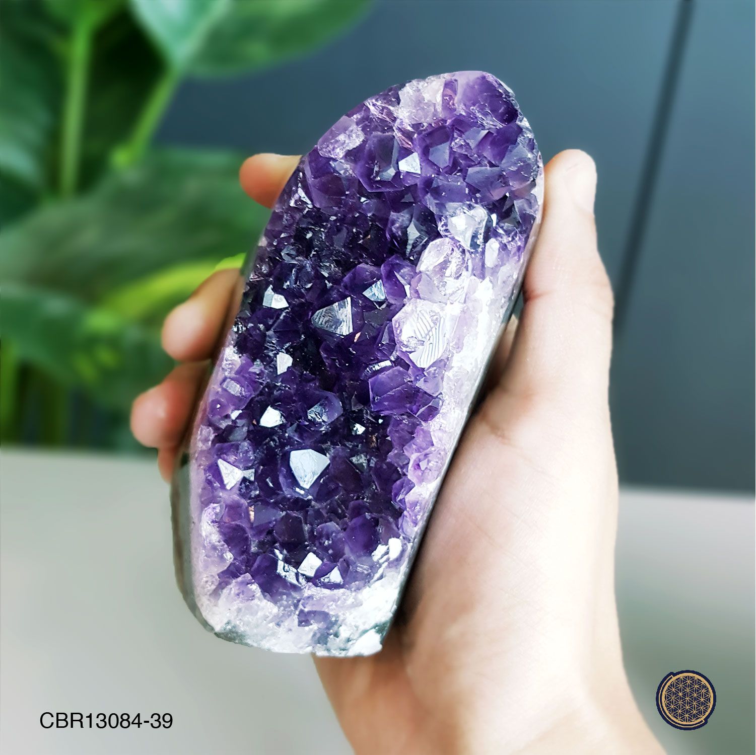 Amethyst Druzes With Wood Stand - 0.55KGS 