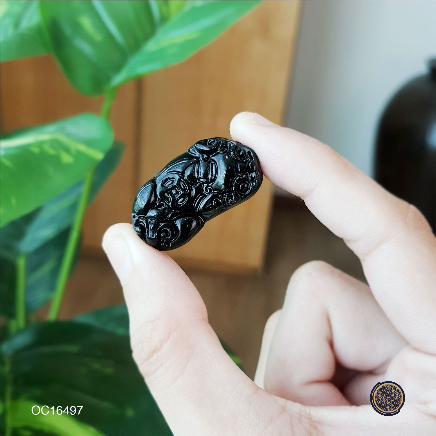 Black Obsidian With One Money Pi Xiu (Medium） 