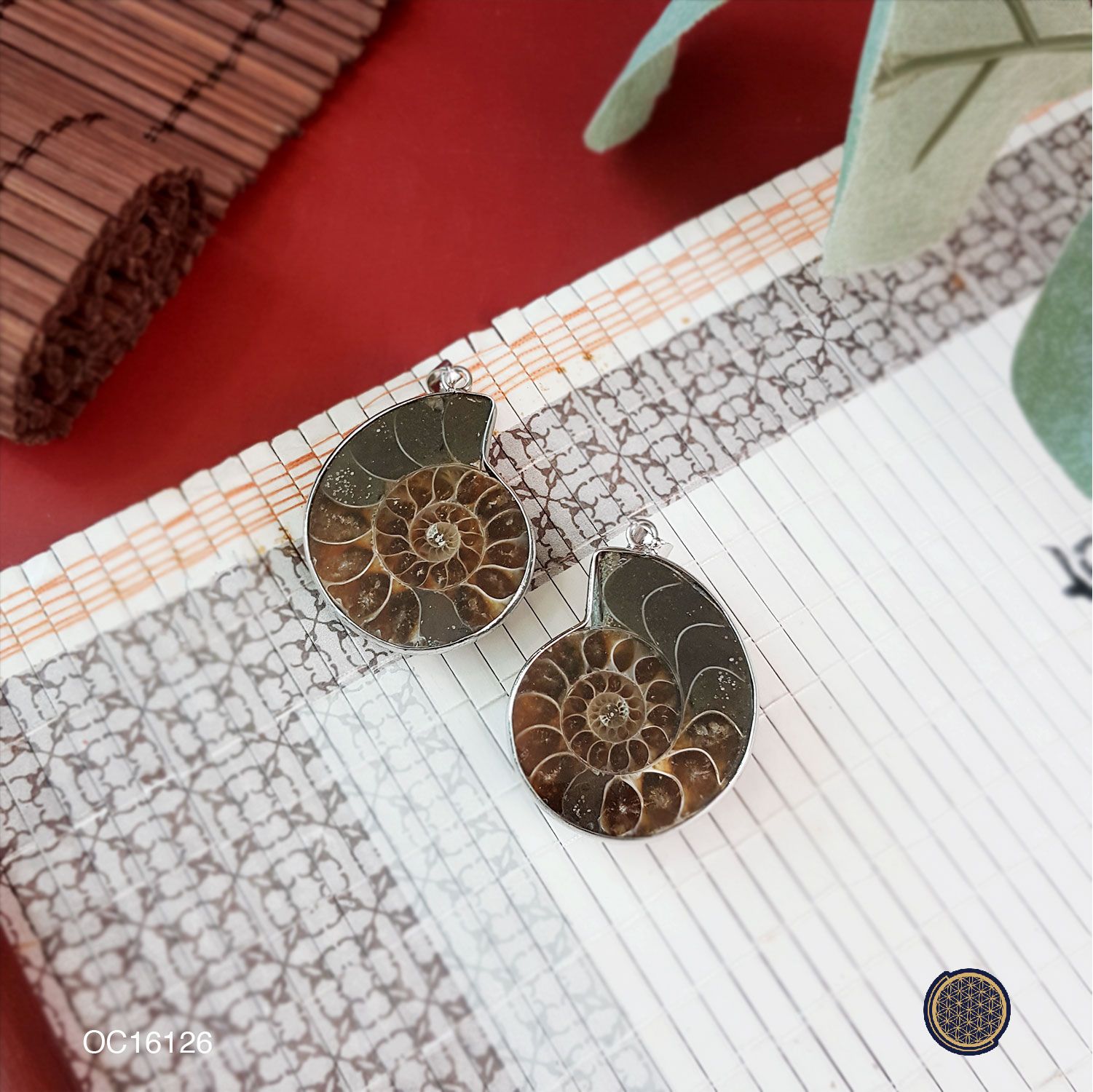 25mm x 30mm Ammonite Fossil Pairing Pendant (Small) 