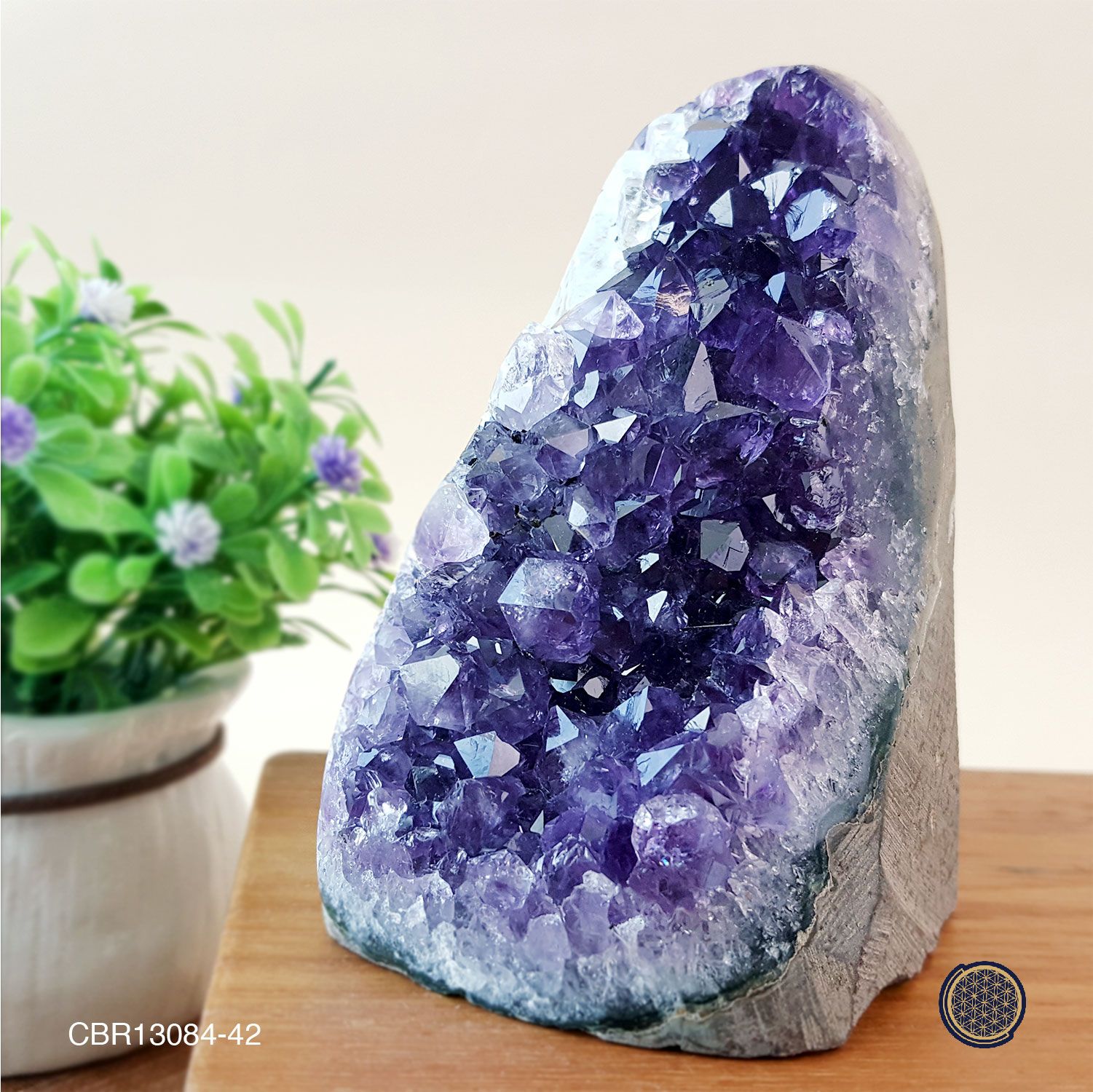 Amethyst Druzes With Wood Stand - 0.63KGS 