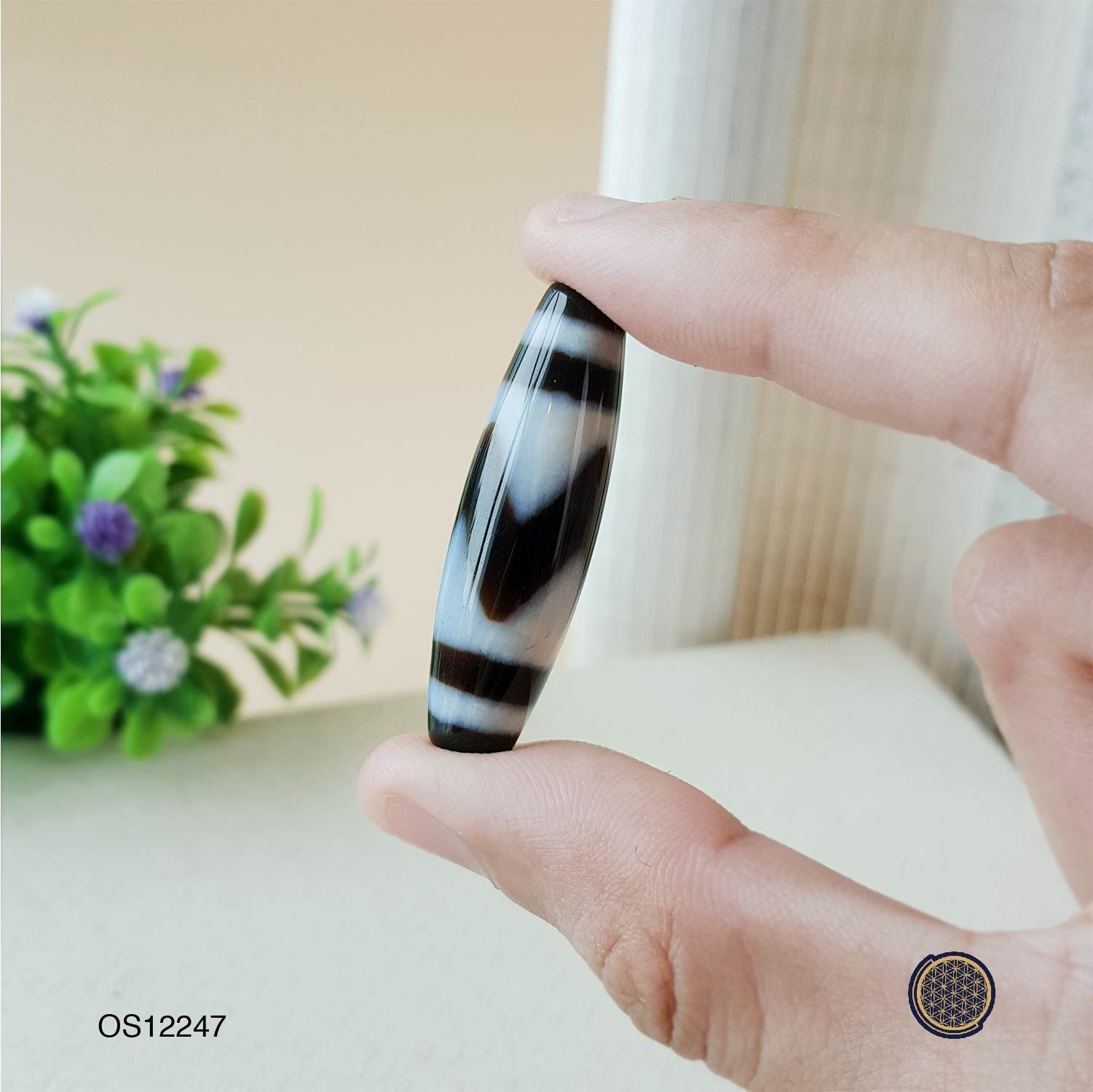 0623145 天然石虎牙天珠 安から