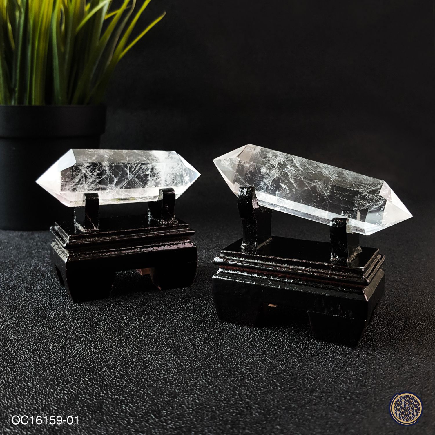 Clear Quartz Double Point With Wood Stand -40GM-55GM 