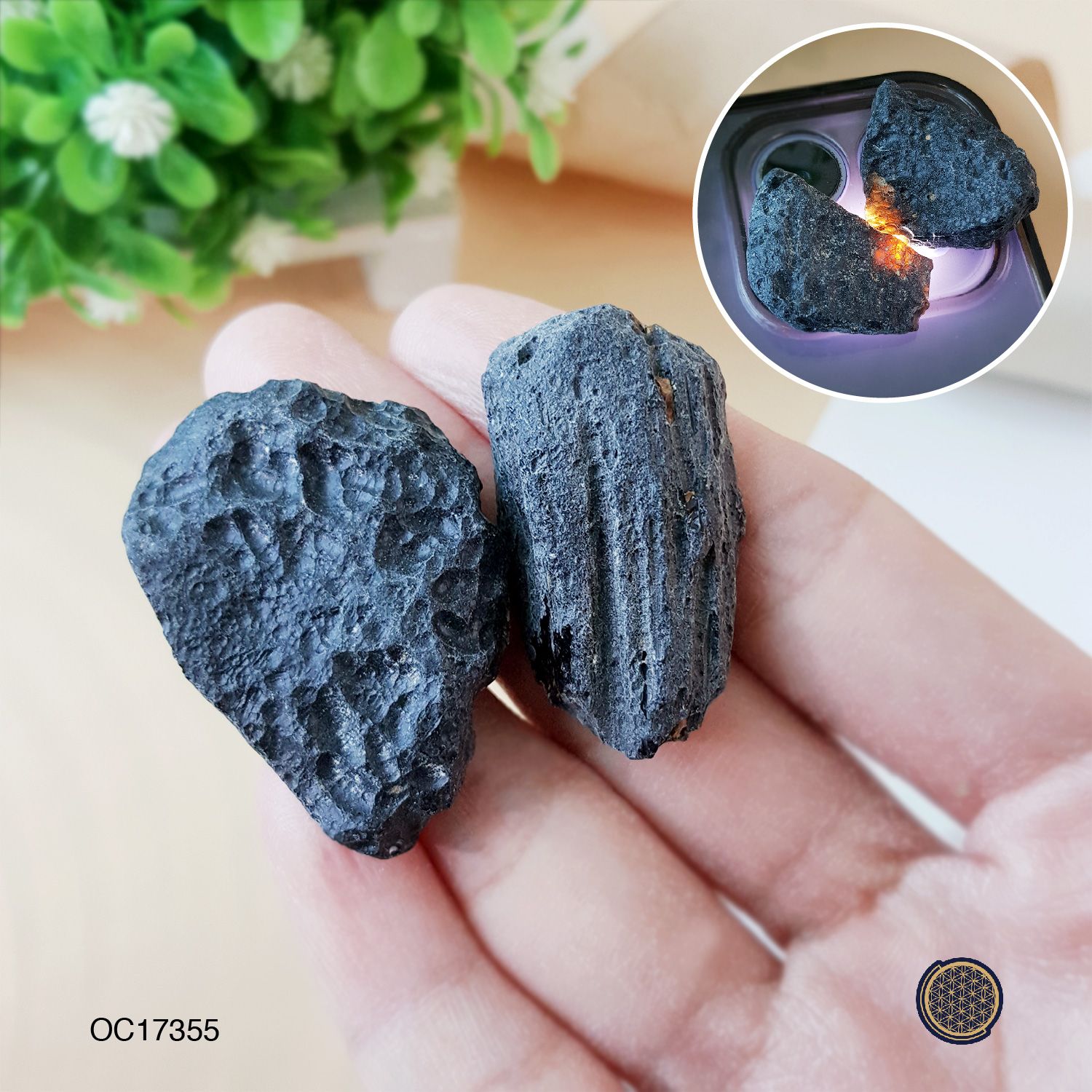 Black Meteorite Raw Tumbled - 250G 