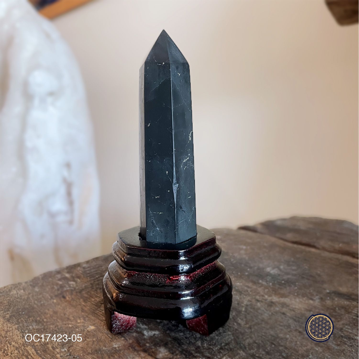 Shungite Point With Wood Stand 