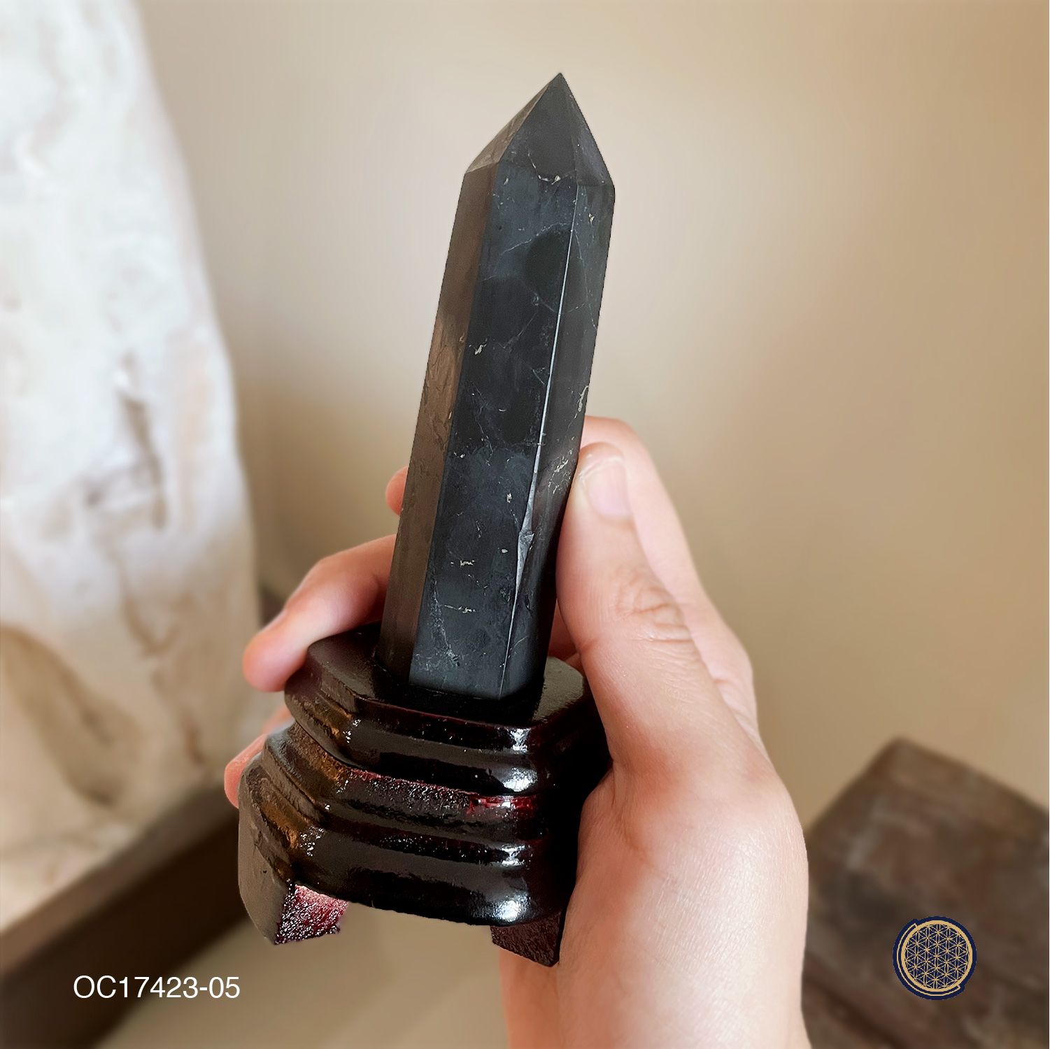 Shungite Point With Wood Stand 