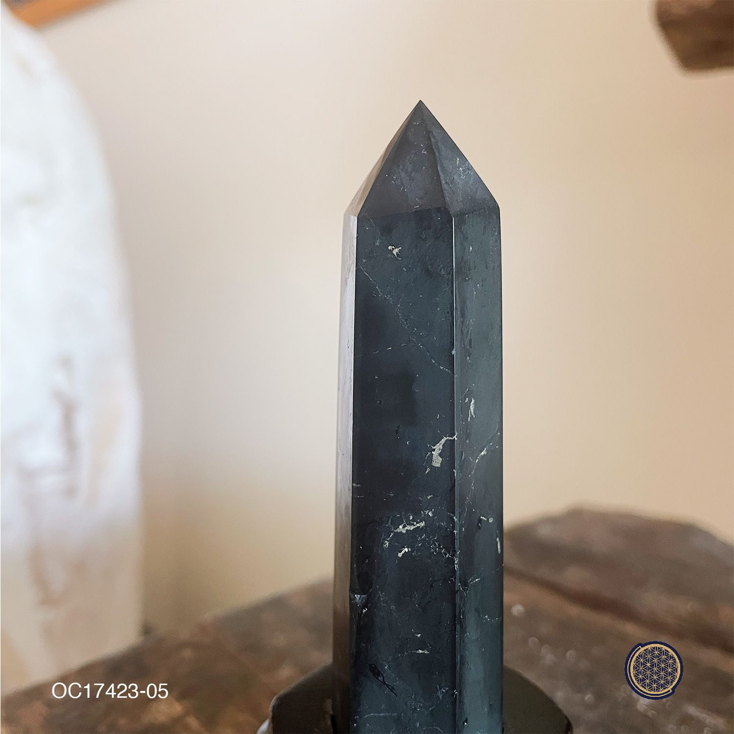 Shungite Point With Wood Stand 