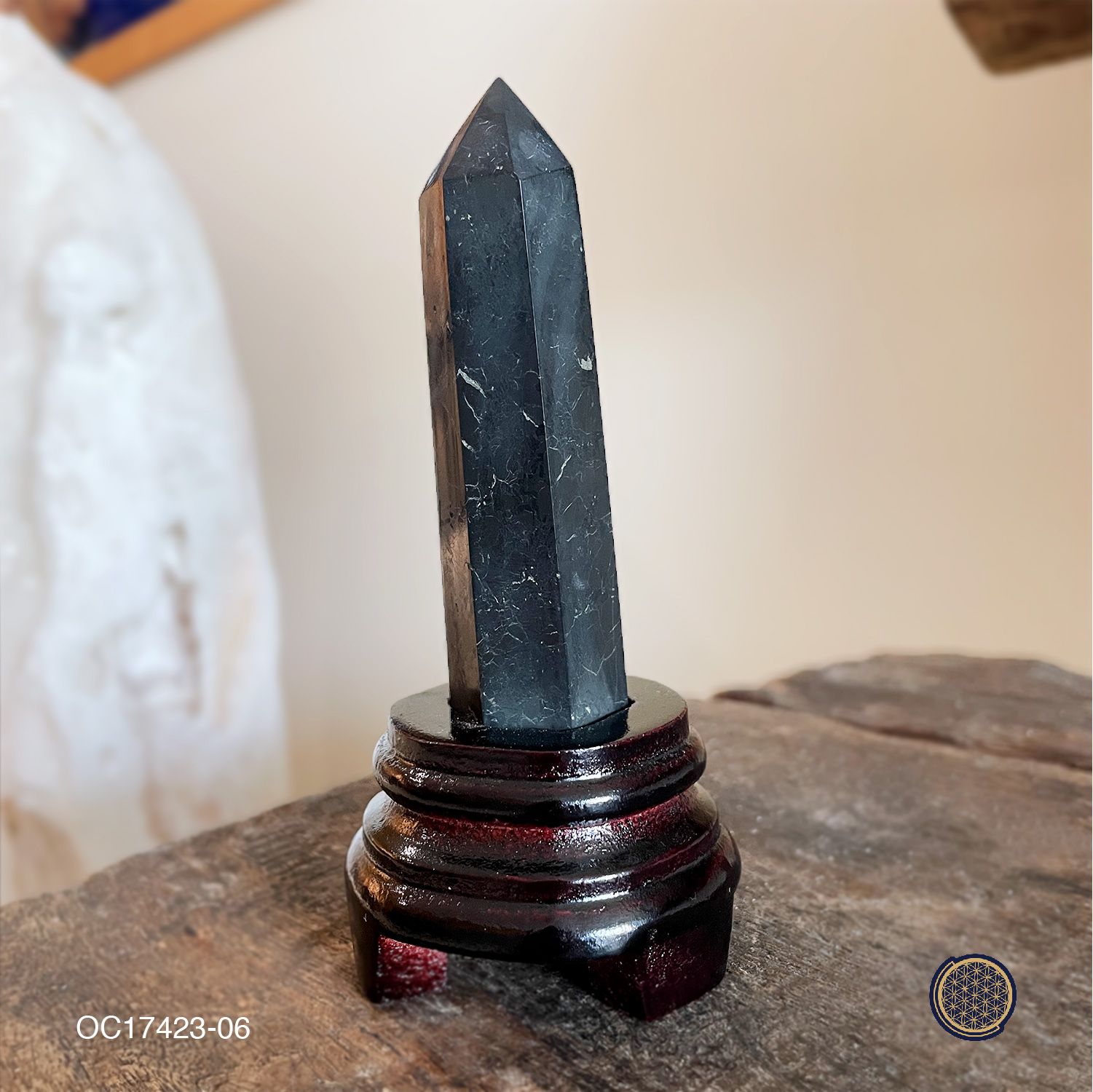 Shungite Point With Wood Stand 