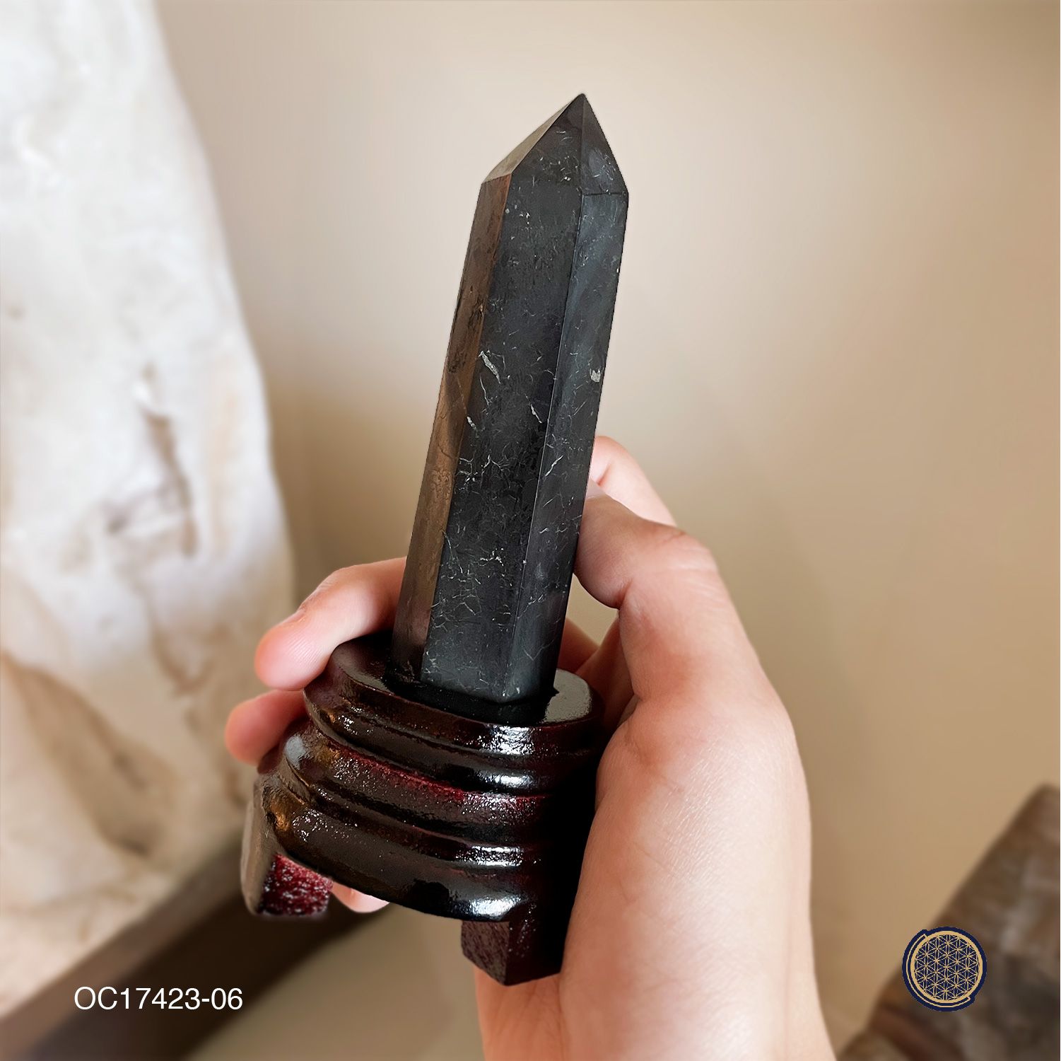 Shungite Point With Wood Stand 