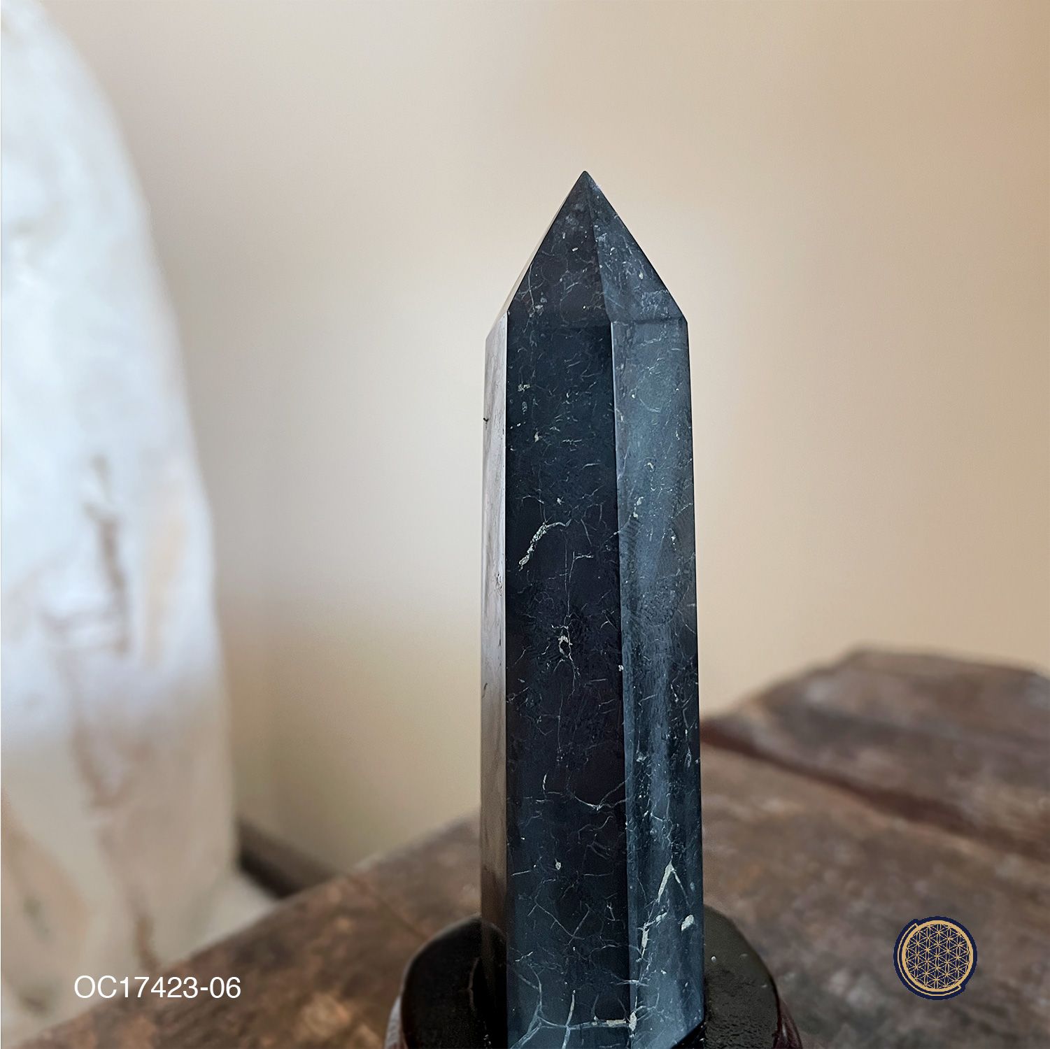 Shungite Point With Wood Stand 