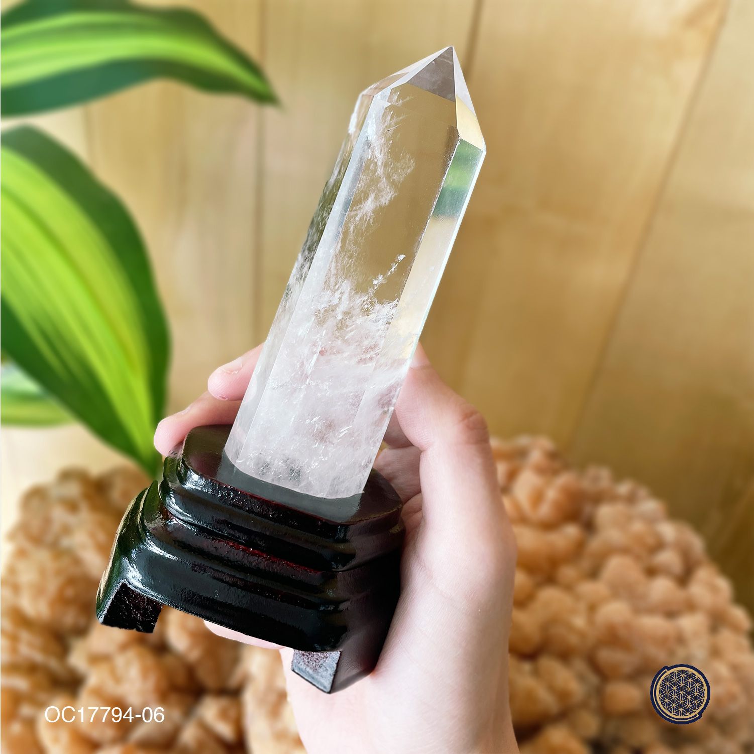 Clear Quartz Point With Wood Stand -0.15KGS 