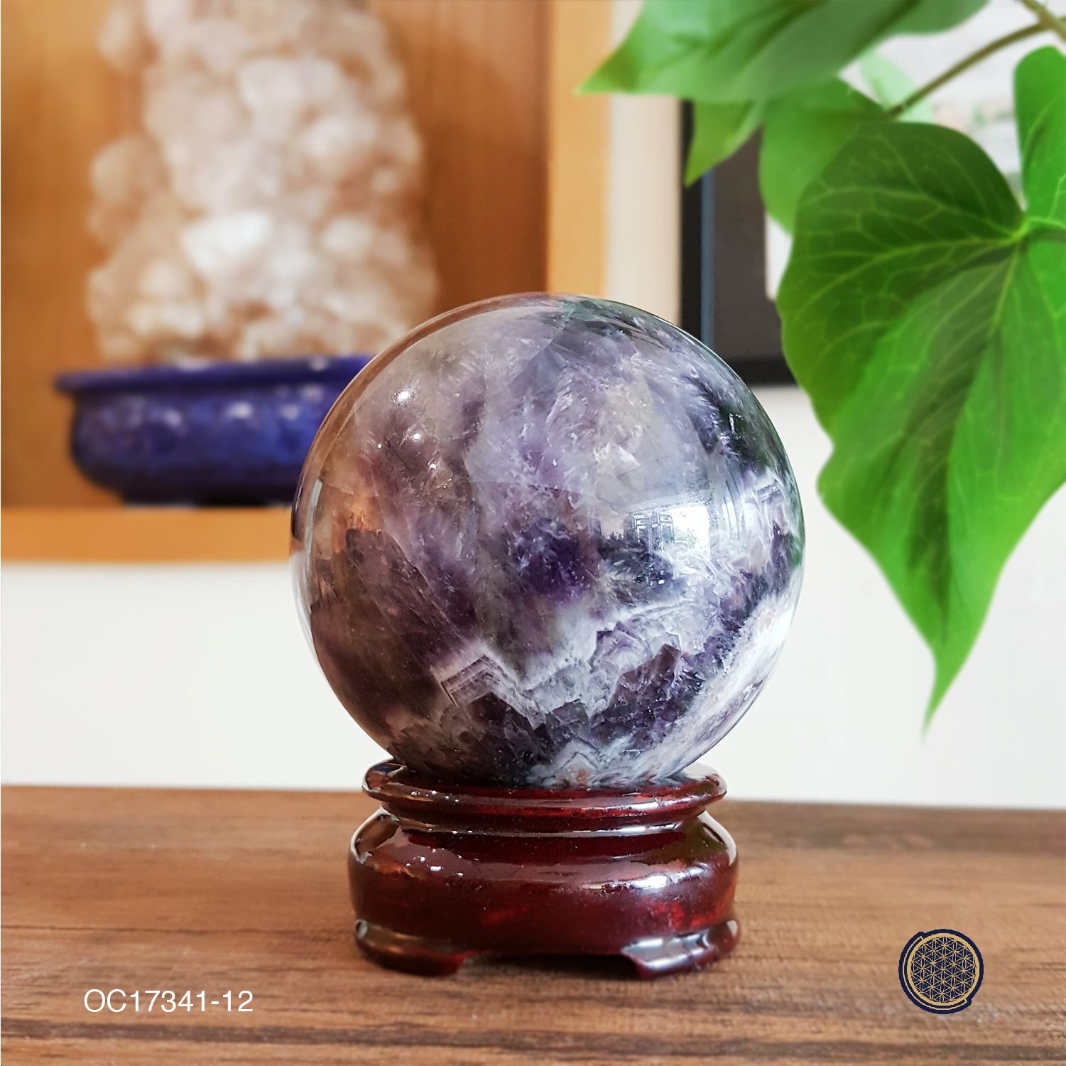 Dream Amethyst Buddha Tooth Ball