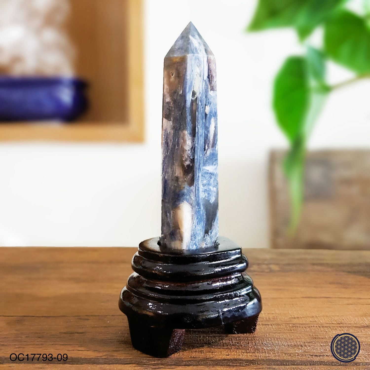 Kyanite Point With Wood Stand -0.105KGS 