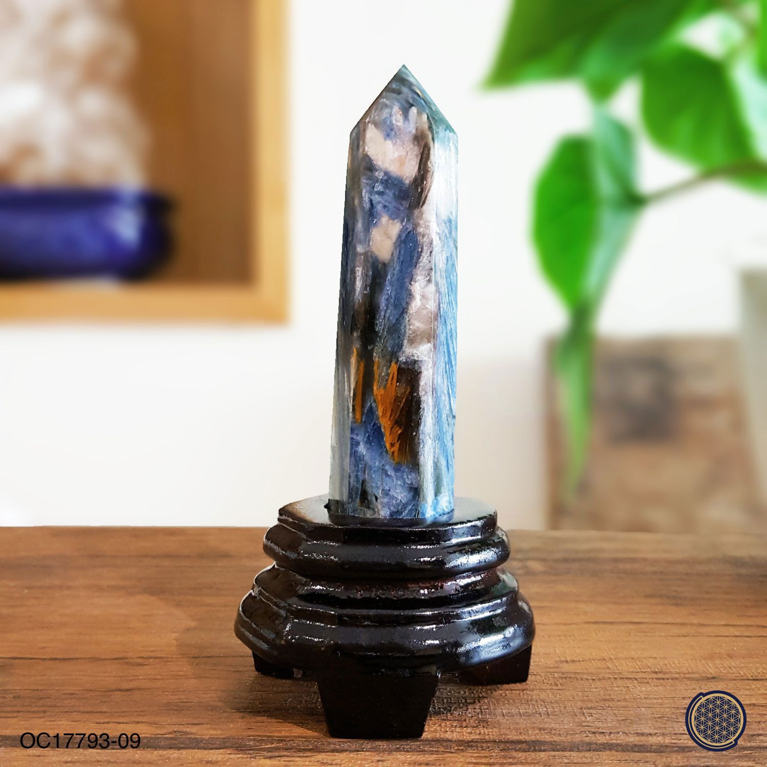 Kyanite Point With Wood Stand -0.105KGS 