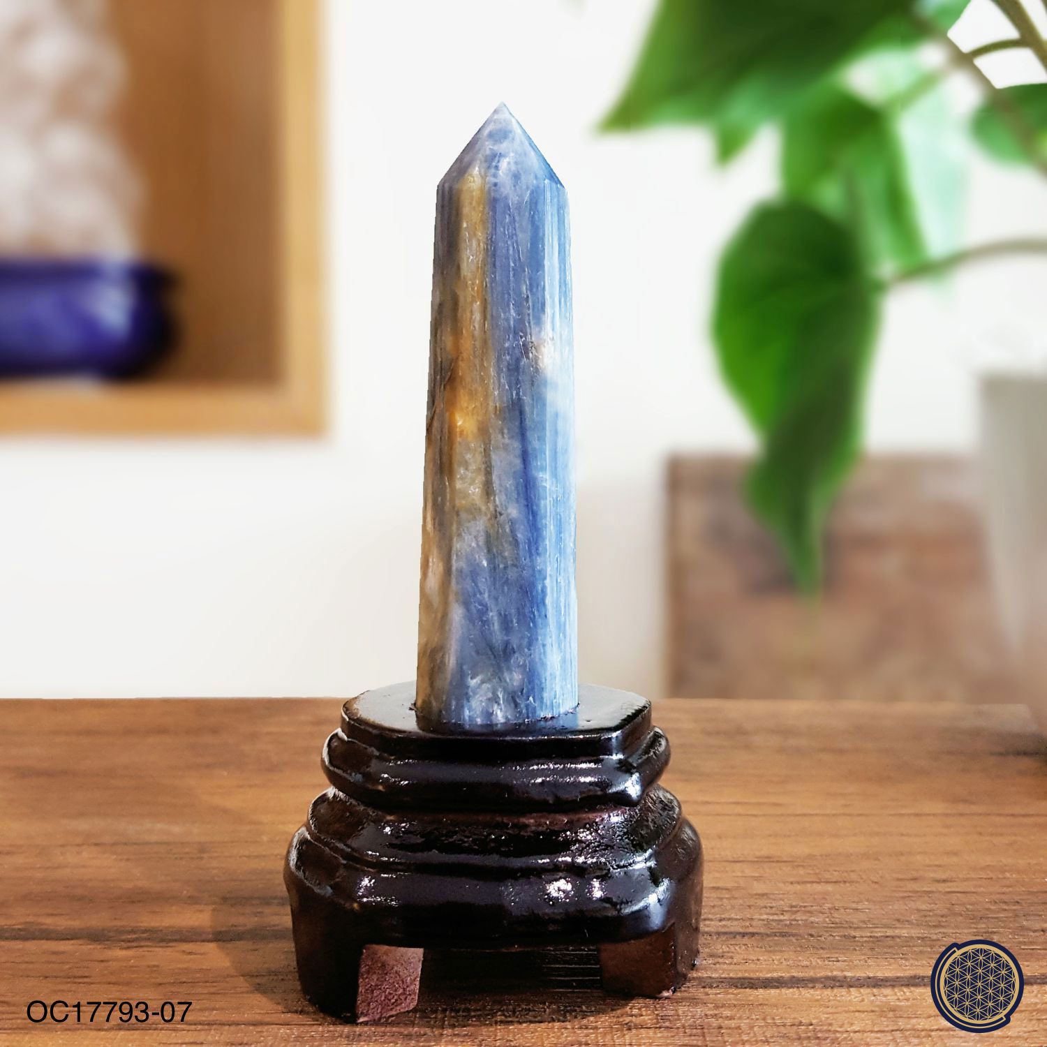 Kyanite Point With Wood Stand -0.095KGS 