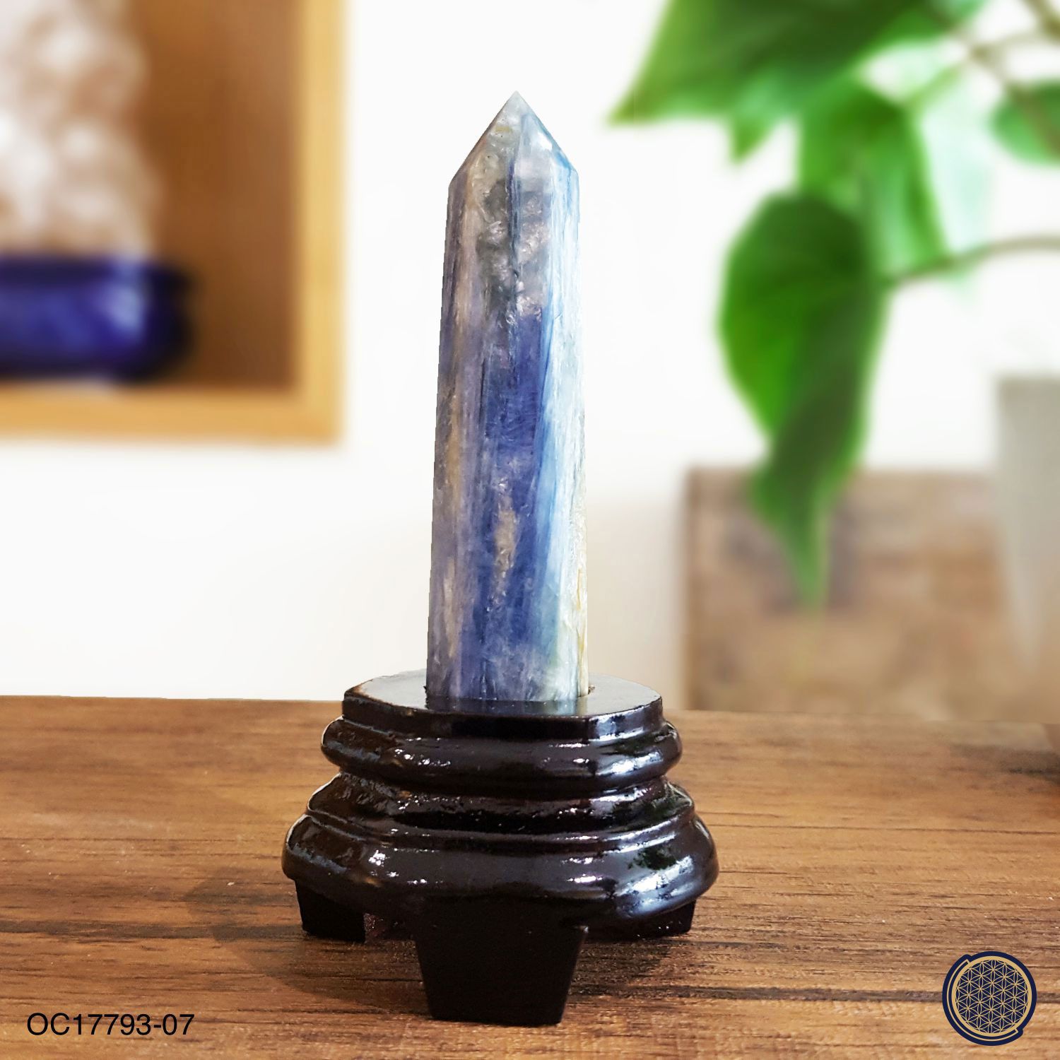 Kyanite Point With Wood Stand -0.095KGS 