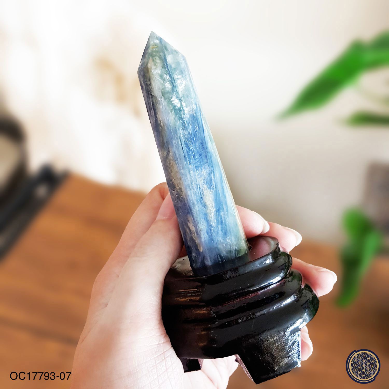 Kyanite Point With Wood Stand -0.095KGS 