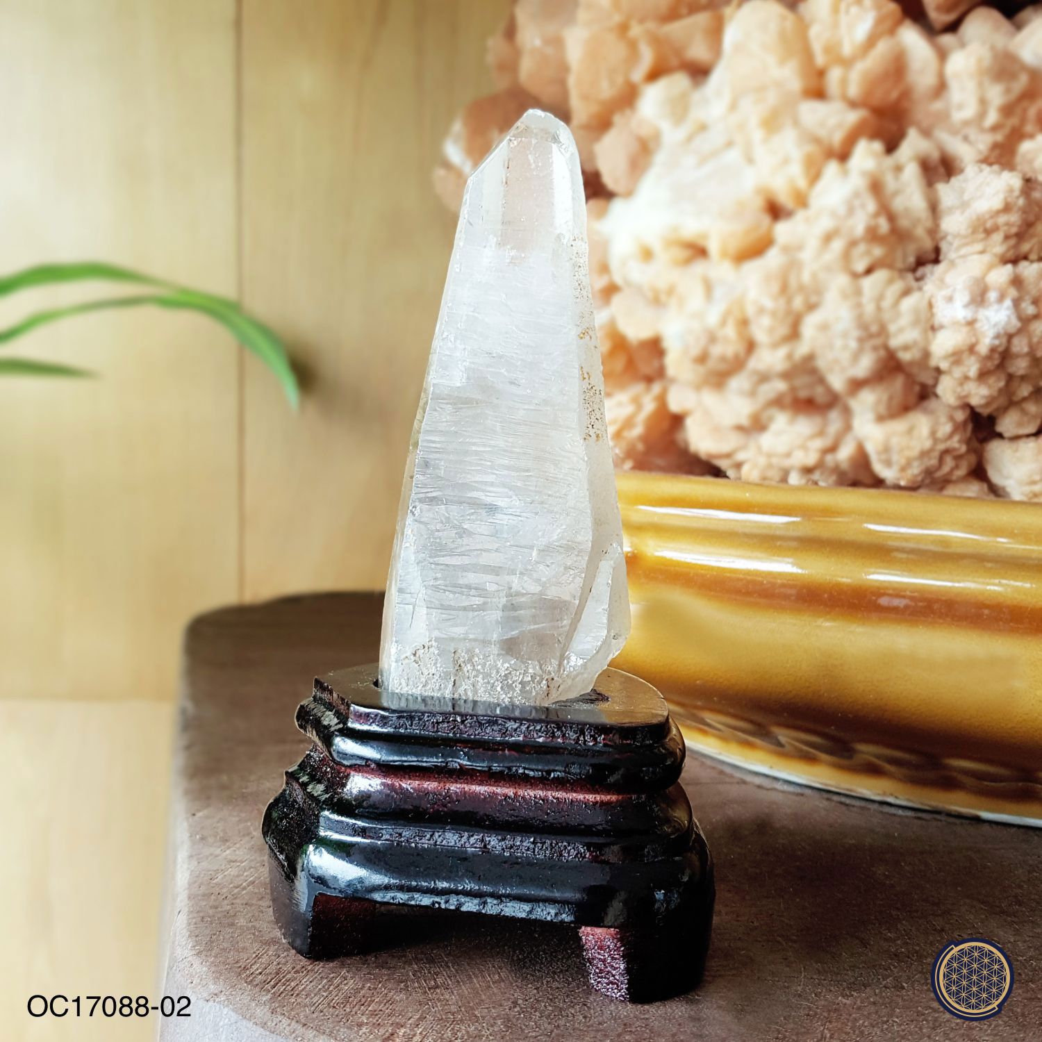 85mm x 150mm Lemurian Crystal With Wood Stand - 0.205KGS 