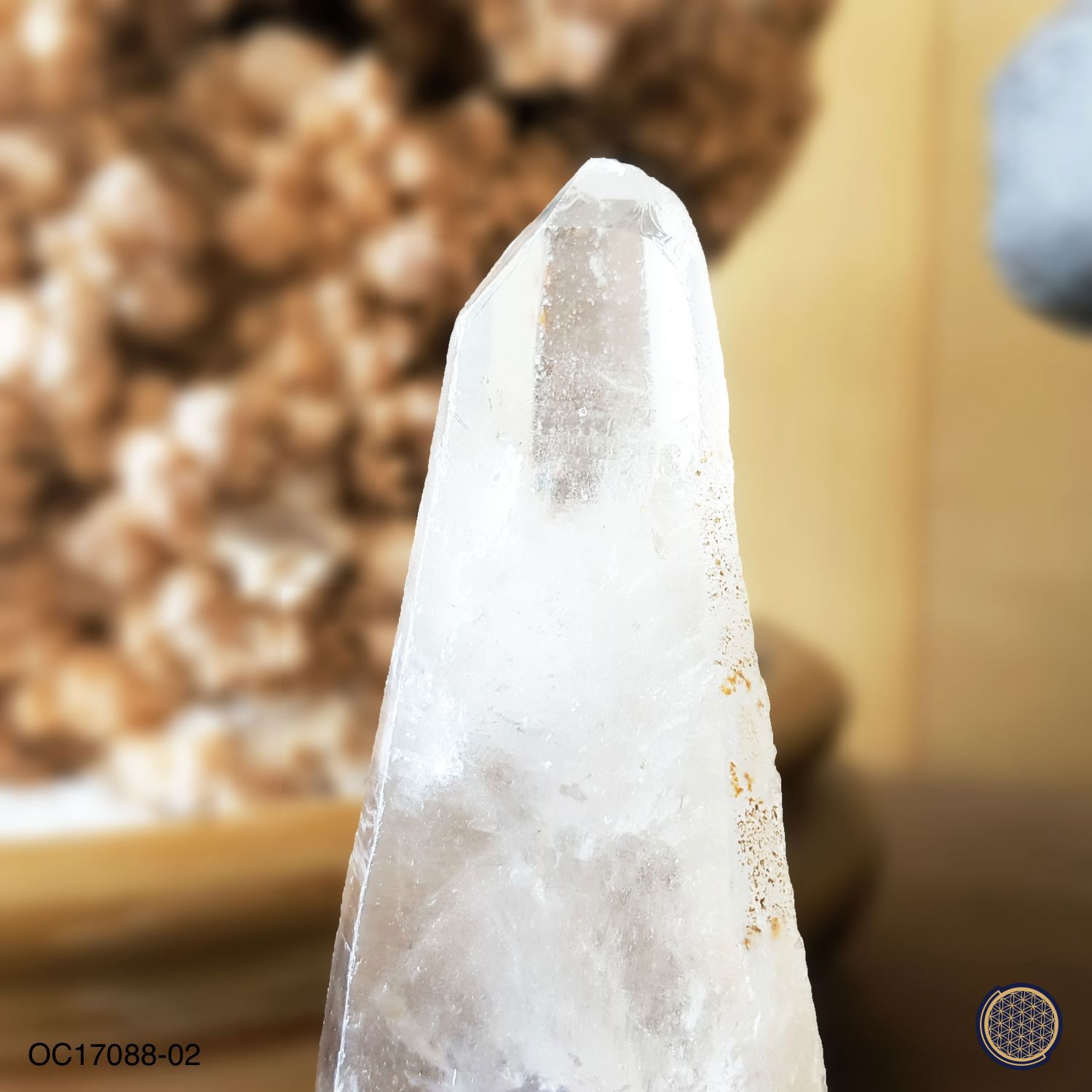 85mm x 150mm Lemurian Crystal With Wood Stand - 0.205KGS 