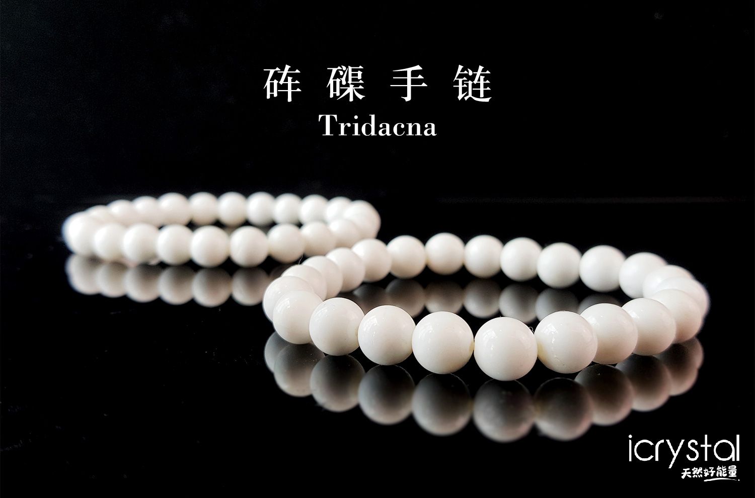 8mm Tridacna Bracelet