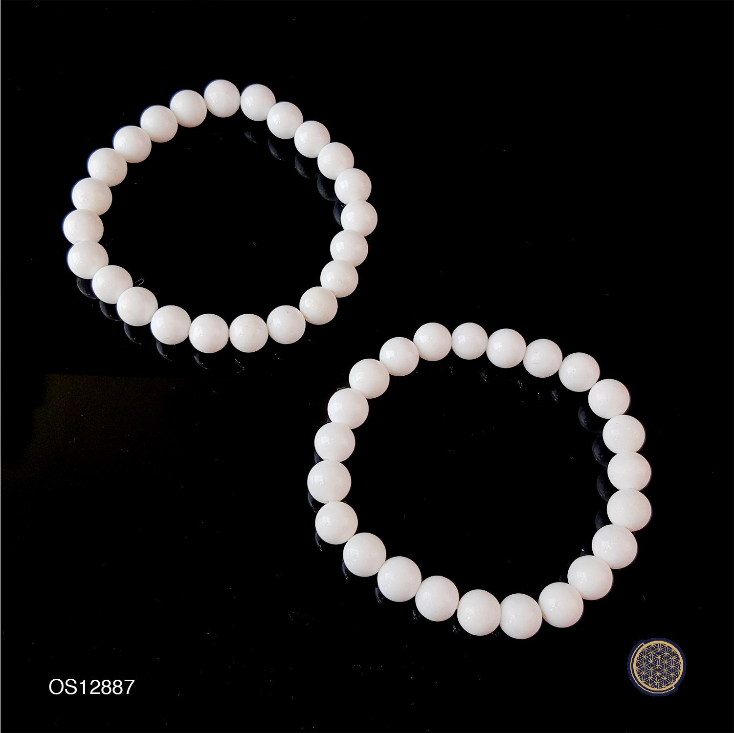 8mm Tridacna Bracelet