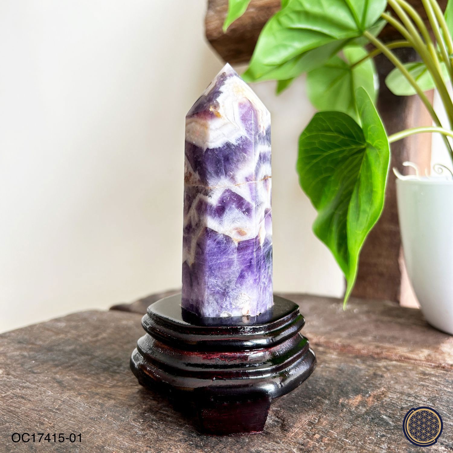 130mm Amethyst Buddha Tooth With Wood Stand 