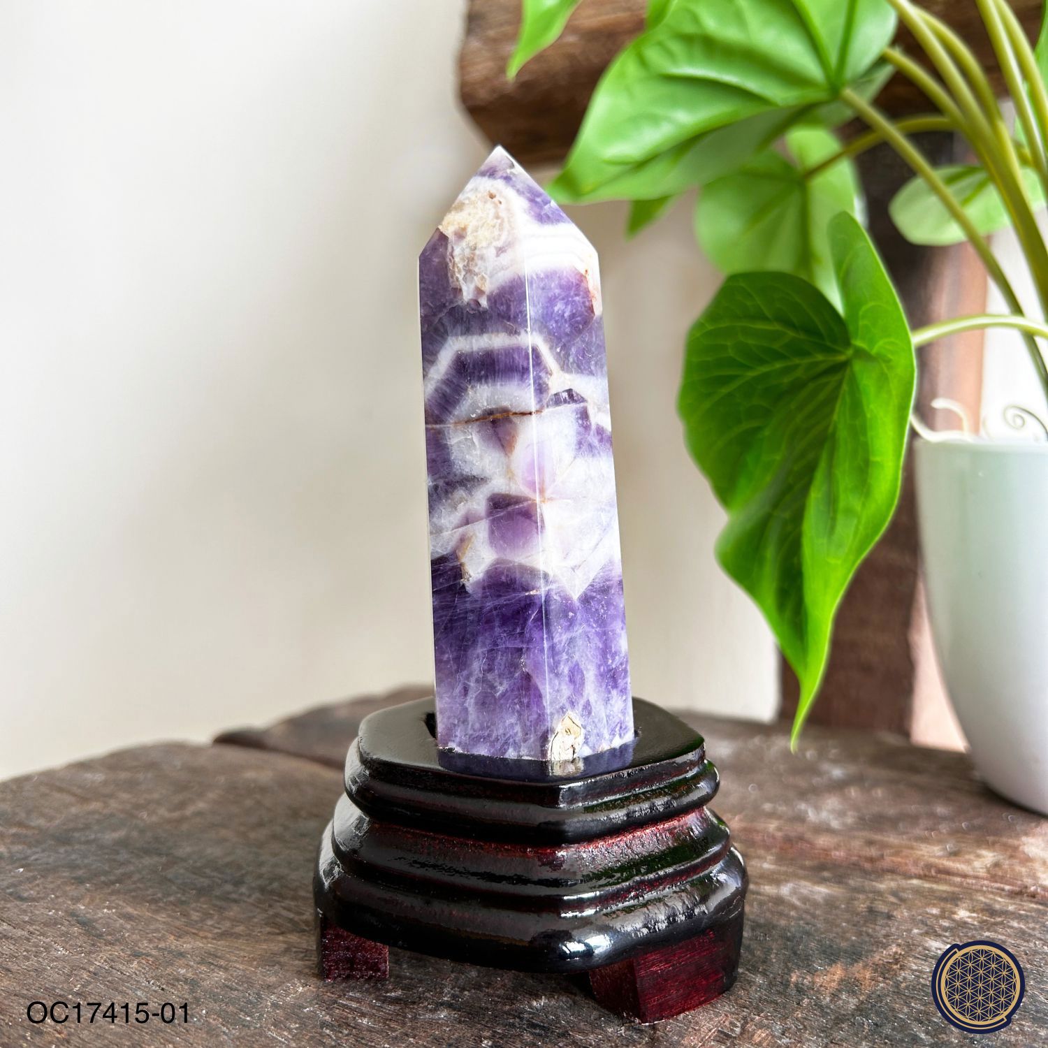 130mm Amethyst Buddha Tooth With Wood Stand 