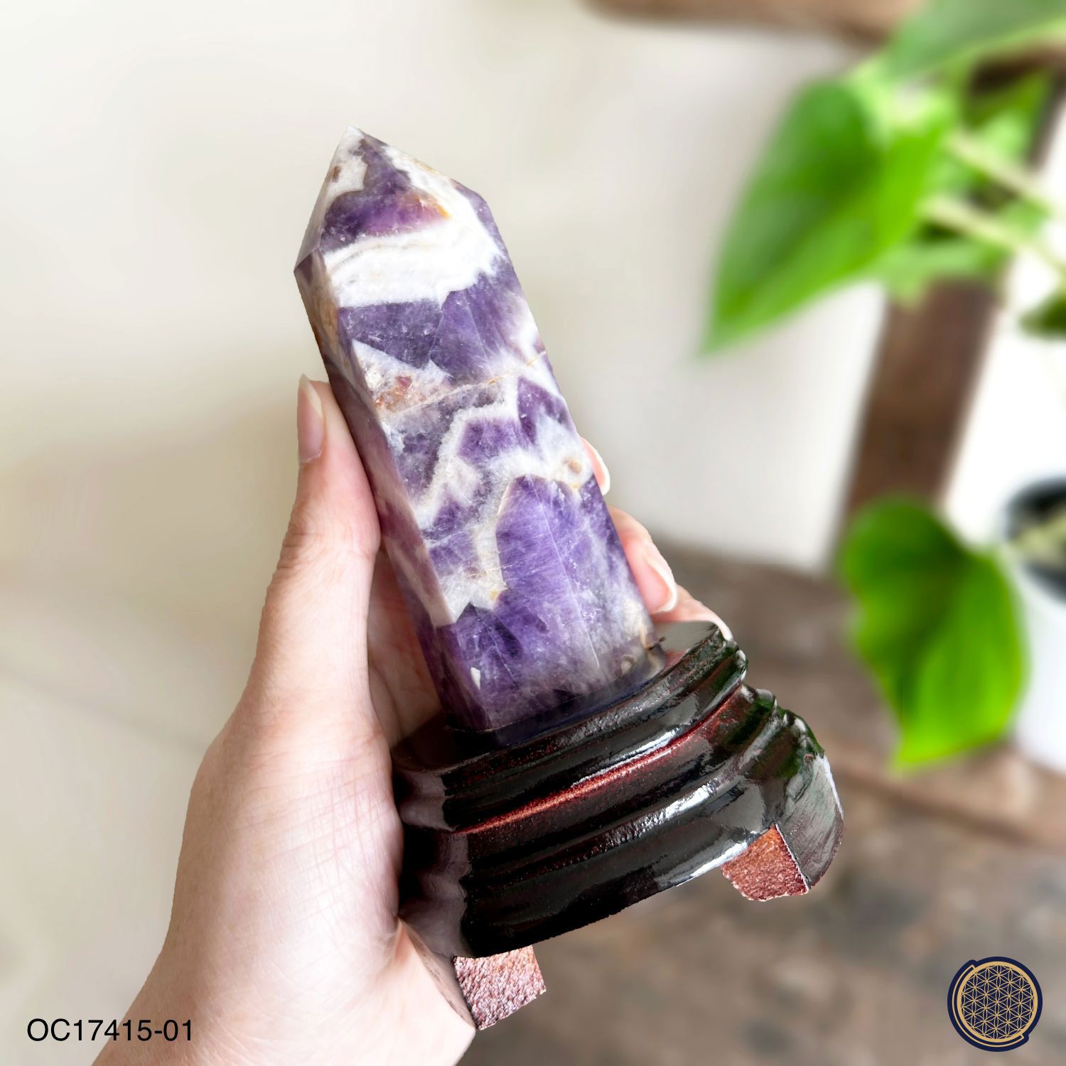 130mm Amethyst Buddha Tooth With Wood Stand 