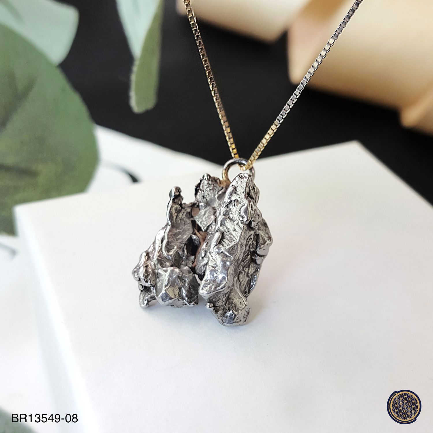 16mm x 25mm Meteorite  Raw Pendant (9.6GM) 