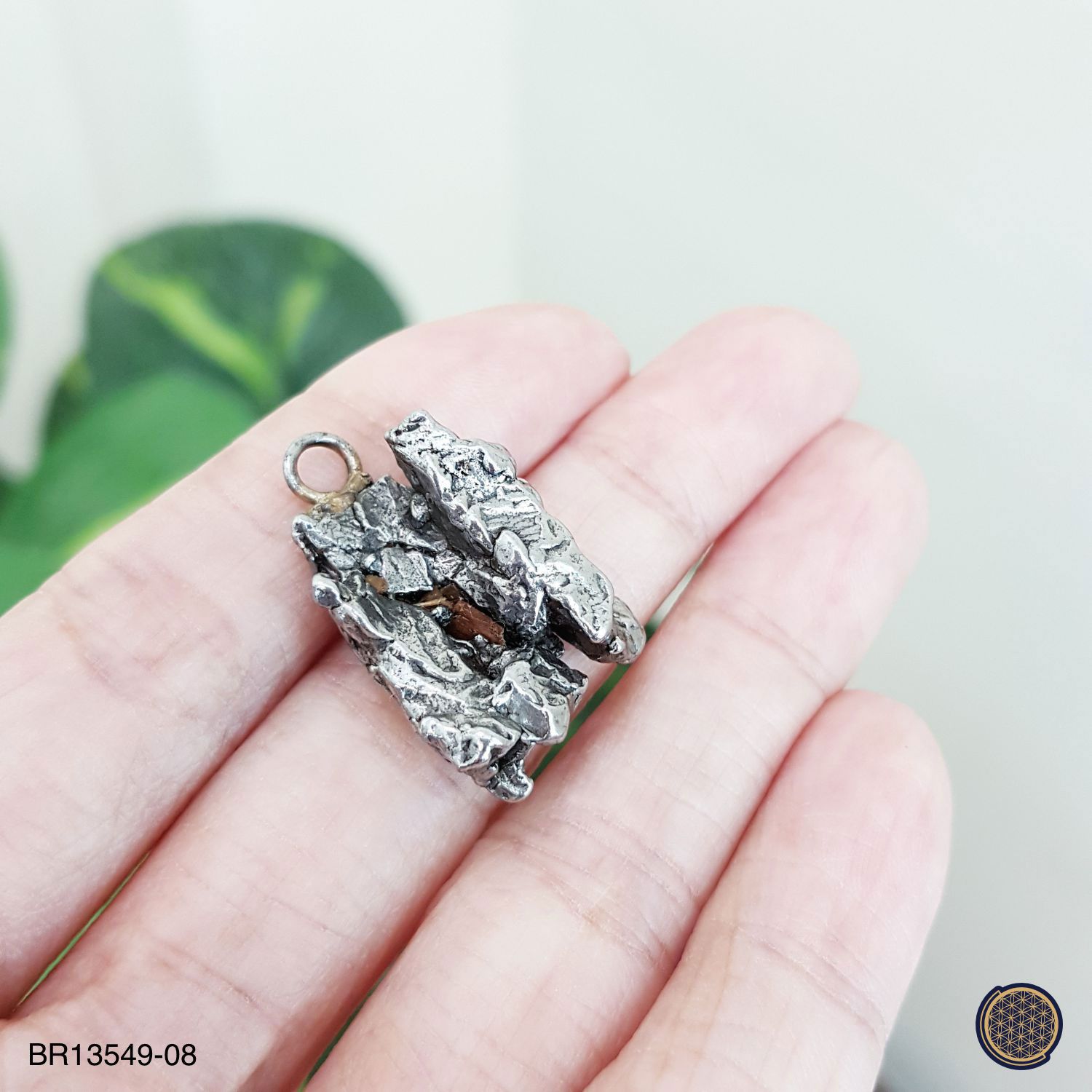 16mm x 25mm Meteorite  Raw Pendant (9.6GM) 