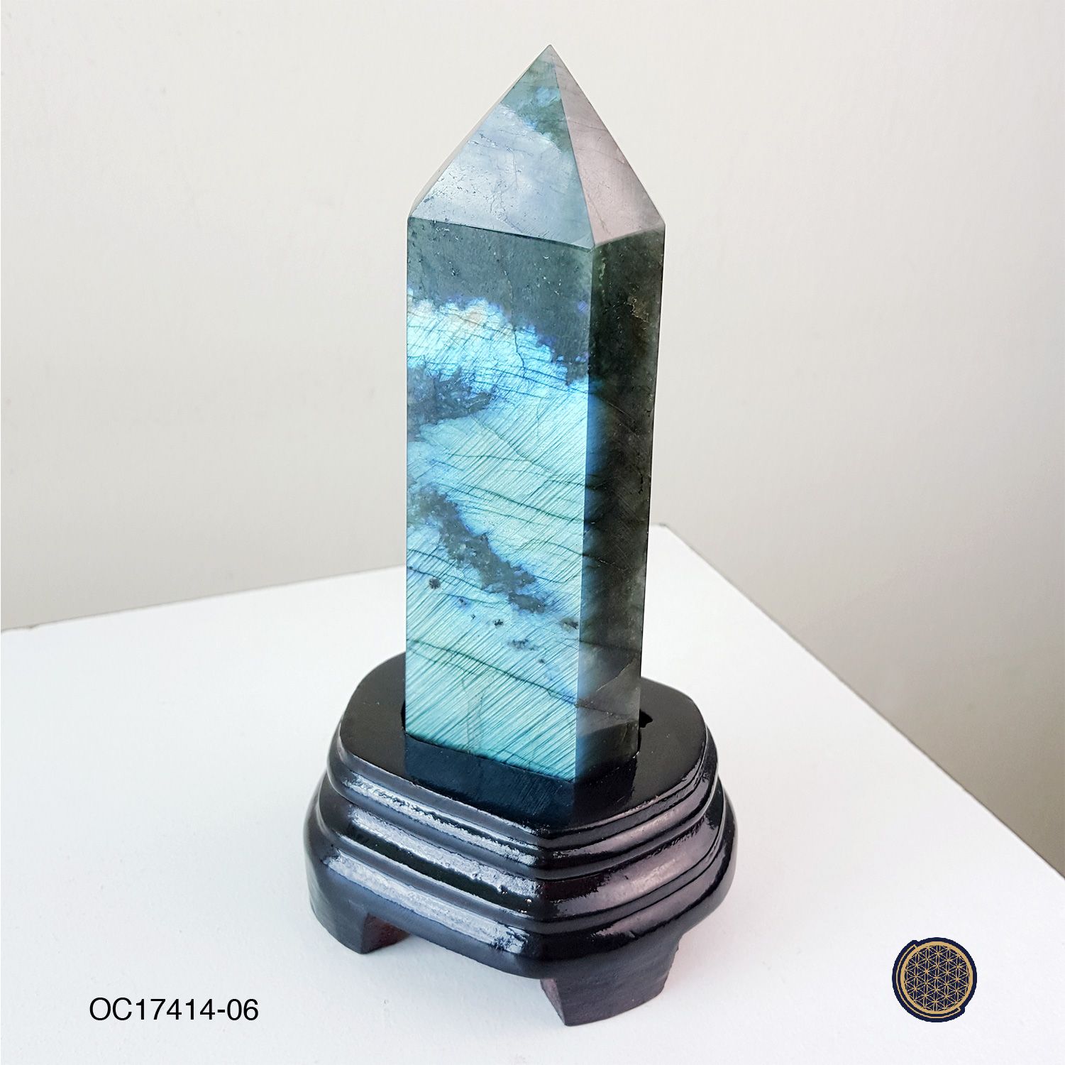 Labradorite With Wood Stand 