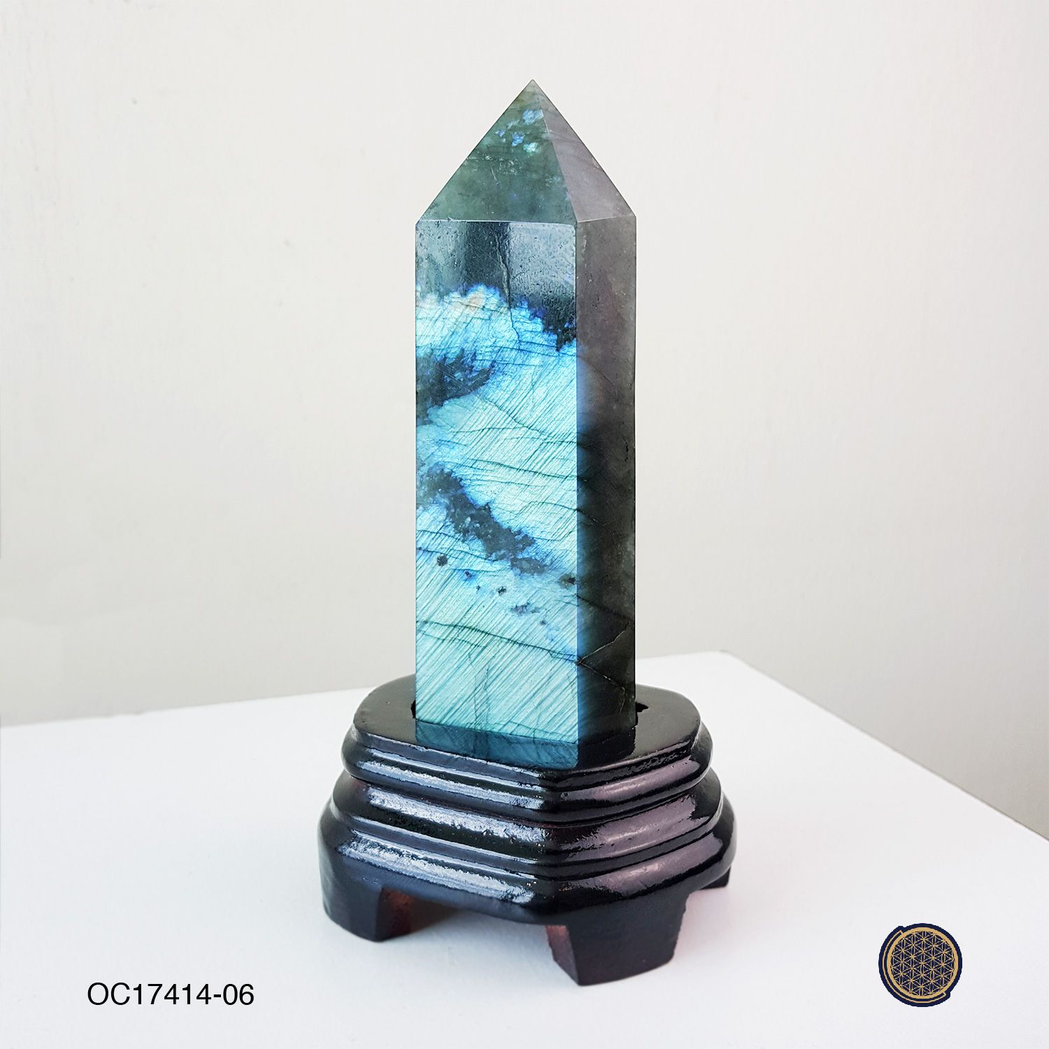 Labradorite With Wood Stand 