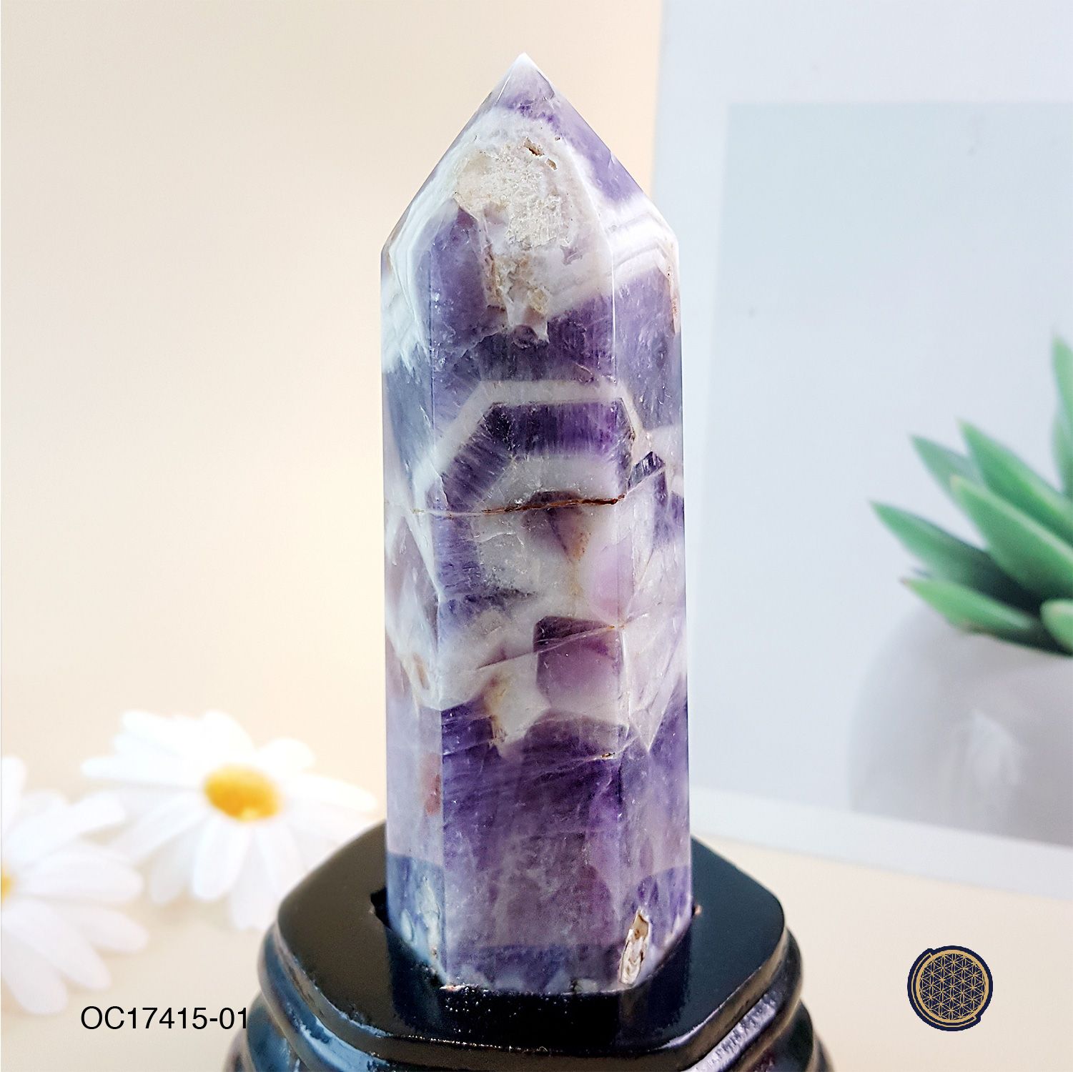 130mm Amethyst Buddha Tooth With Wood Stand 