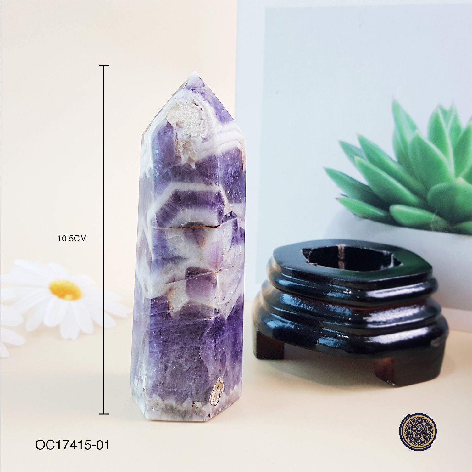 130mm Amethyst Buddha Tooth With Wood Stand 