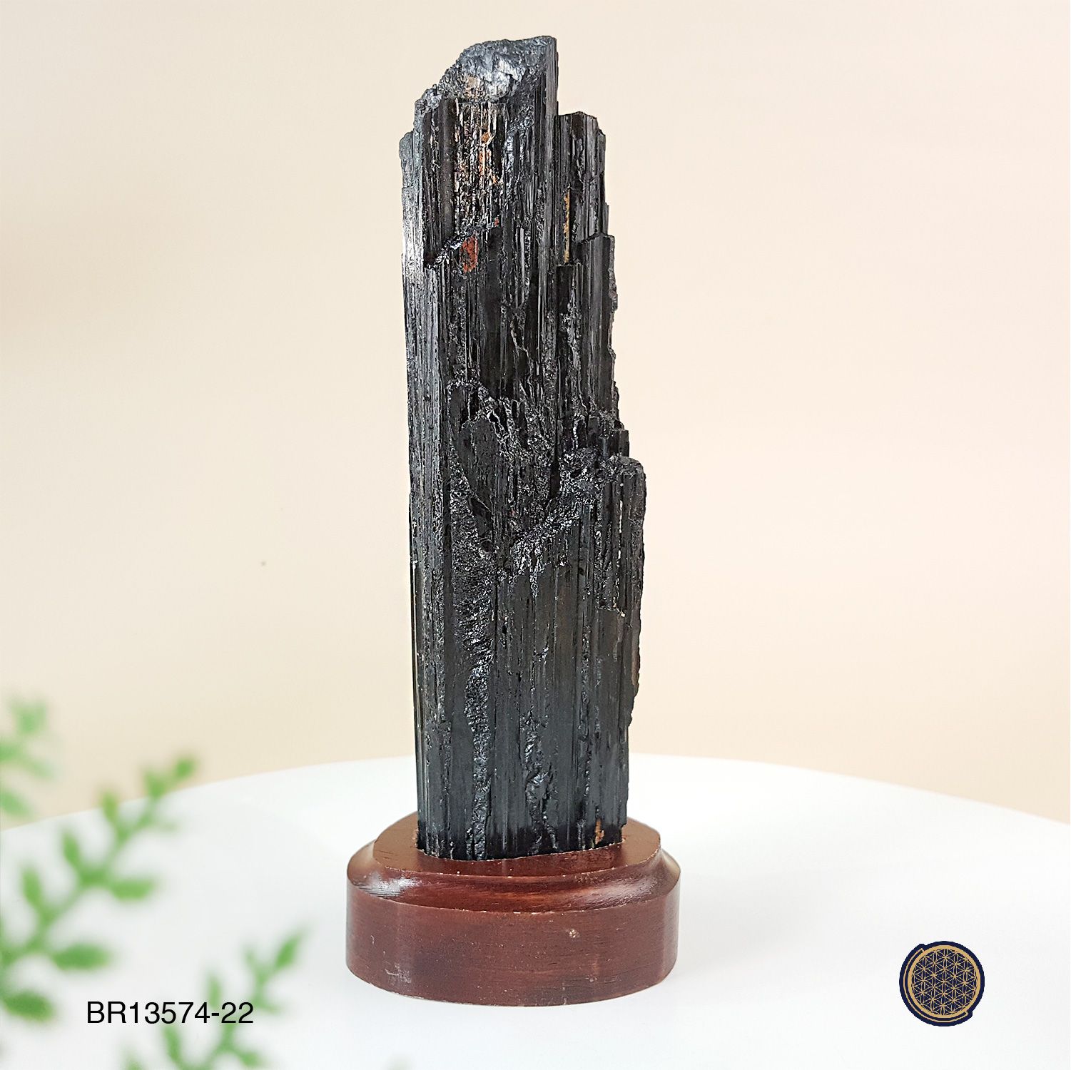 Black Tourmaline Raw Stone With Wood Stand Decoration