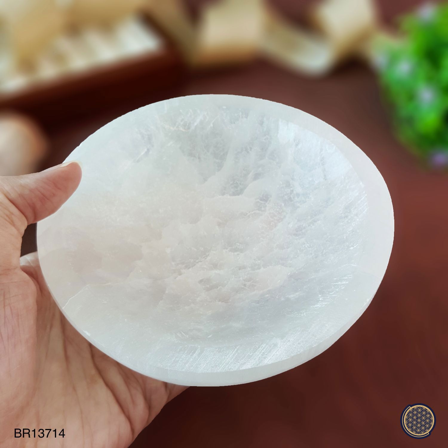 摩洛哥透石膏碗 - 12CM