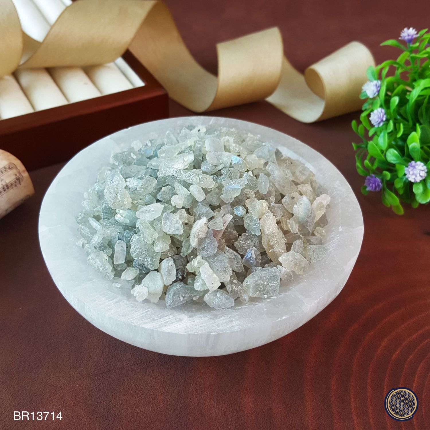 摩洛哥透石膏碗 - 12CM