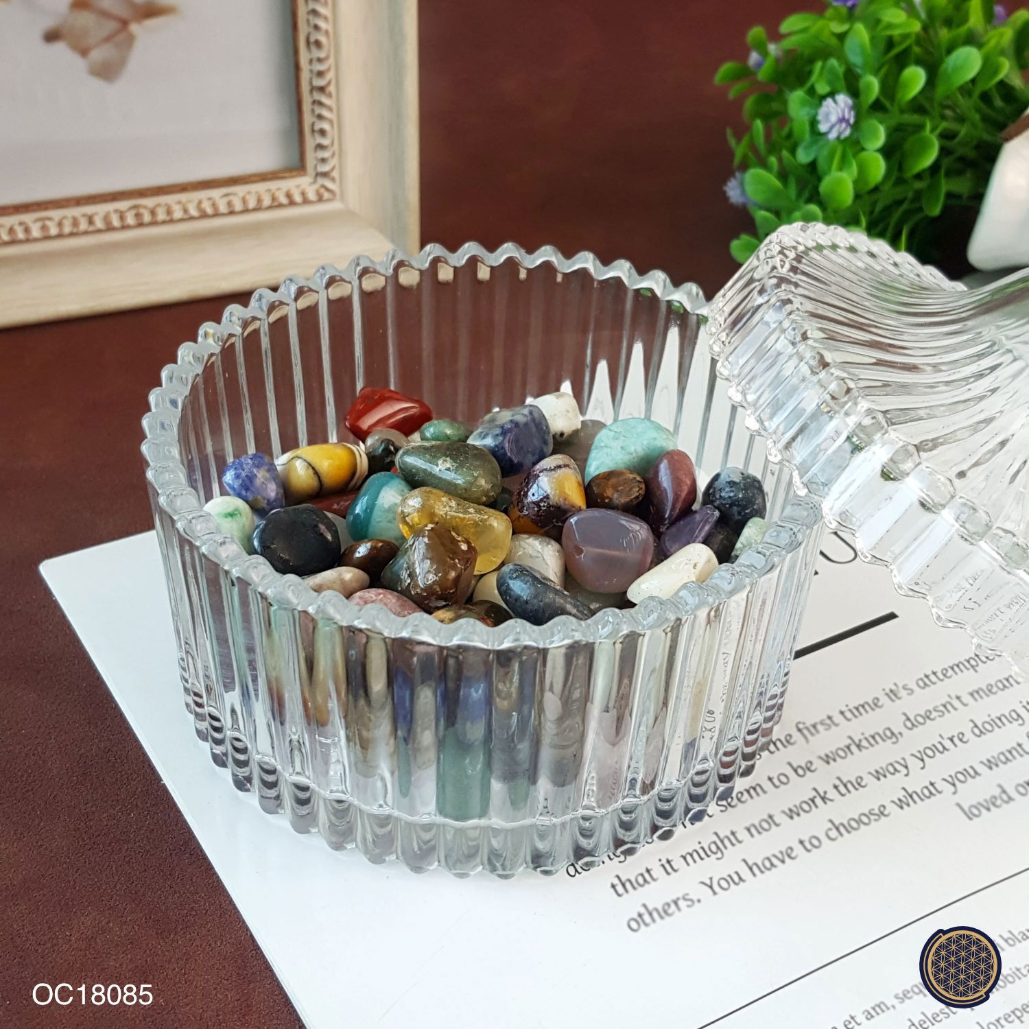 Mix Agate Gravel (Big) -250GM 