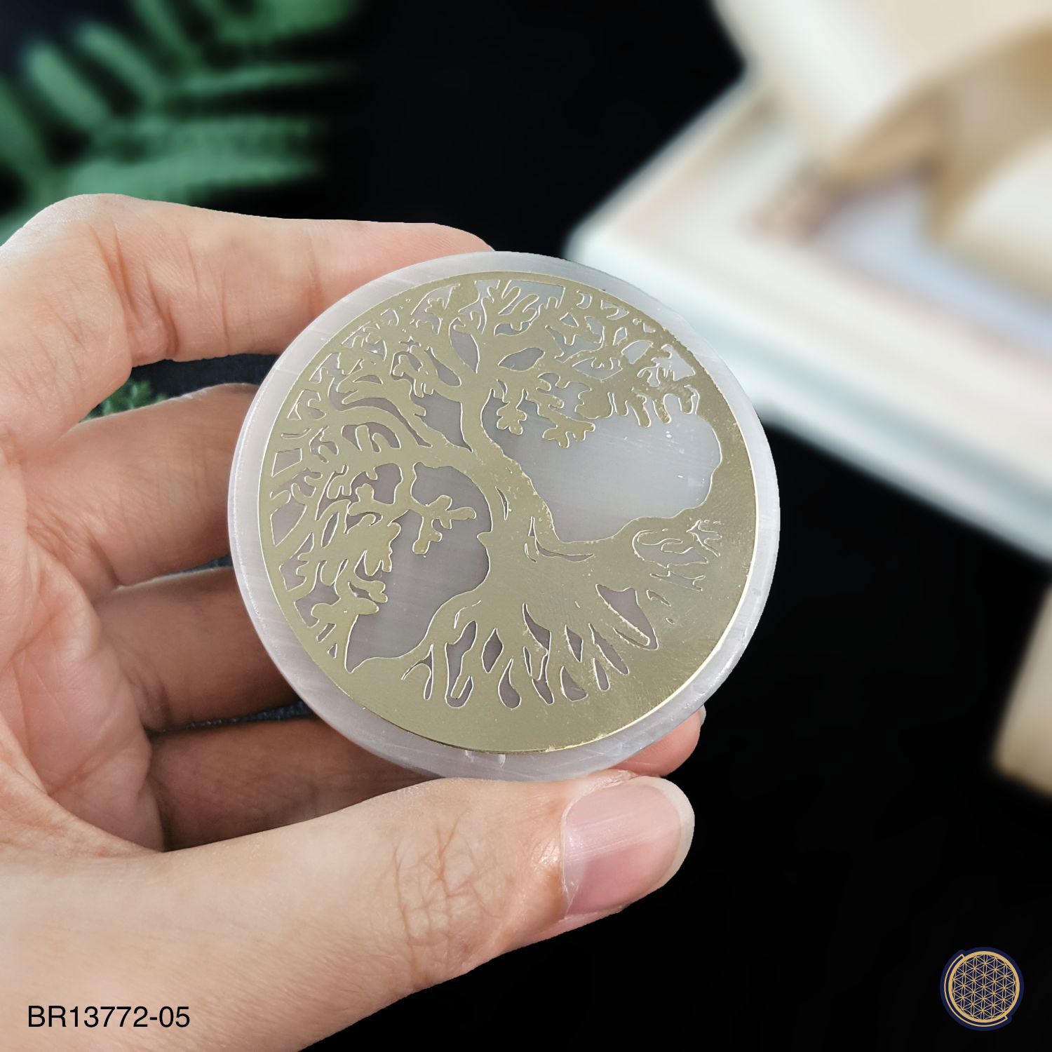 摩洛哥透石膏生命之树能量垫座 (5CM)