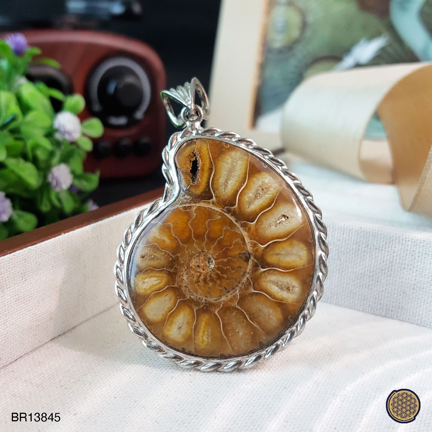 40mm x 58mm Madagascar Ammonite Pendant (925) 