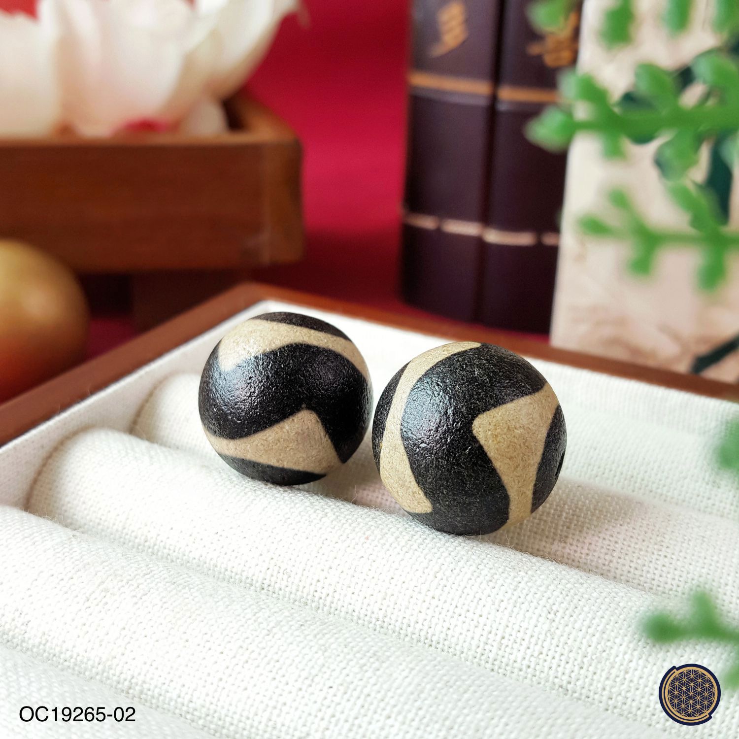 20mm TIger Tooth Round Agate Dzi Beads