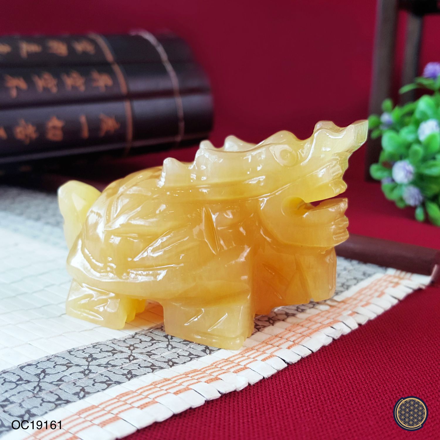 黄玉龙龟 (8CM)