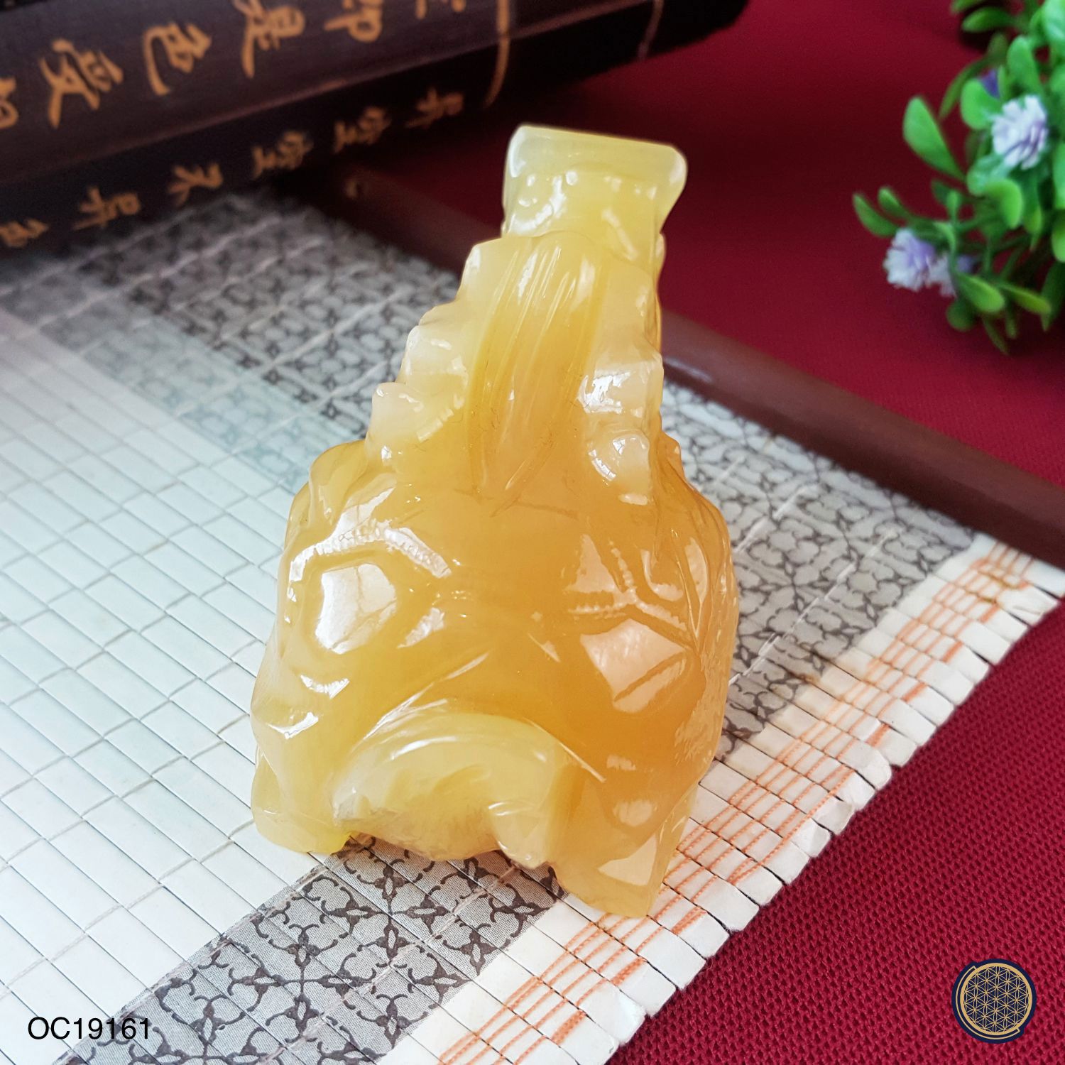 黄玉龙龟 (8CM)