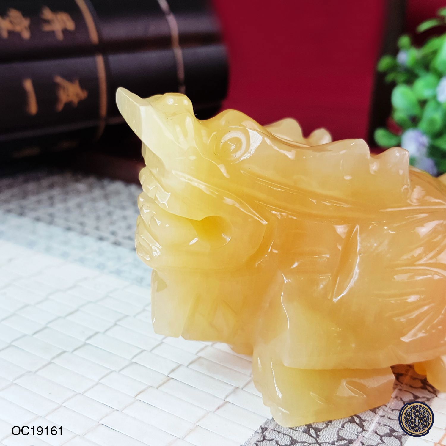 黄玉龙龟 (8CM)