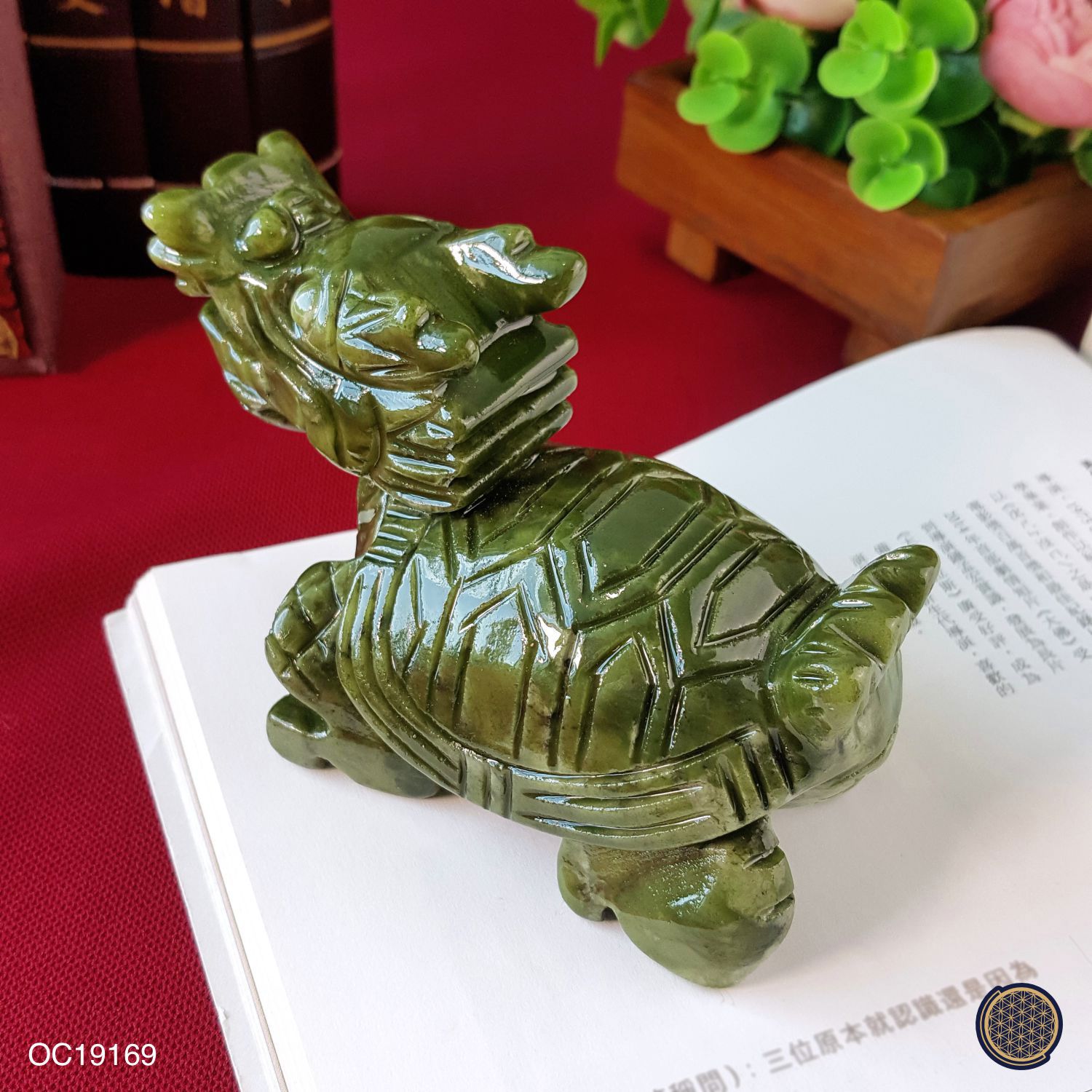 绿碧玉/青玉龙龟 (10CM)