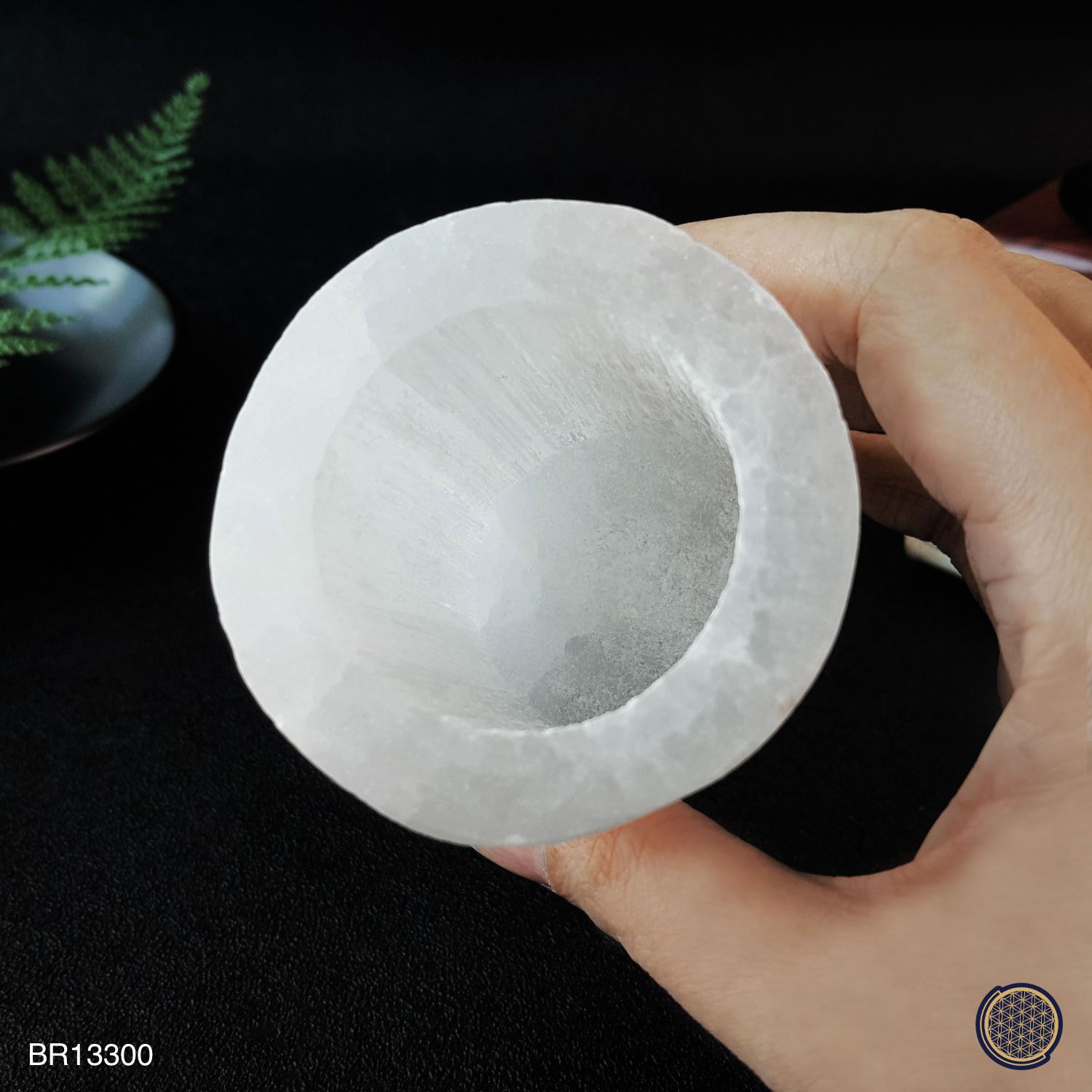 86mm 摩洛哥透石膏杯