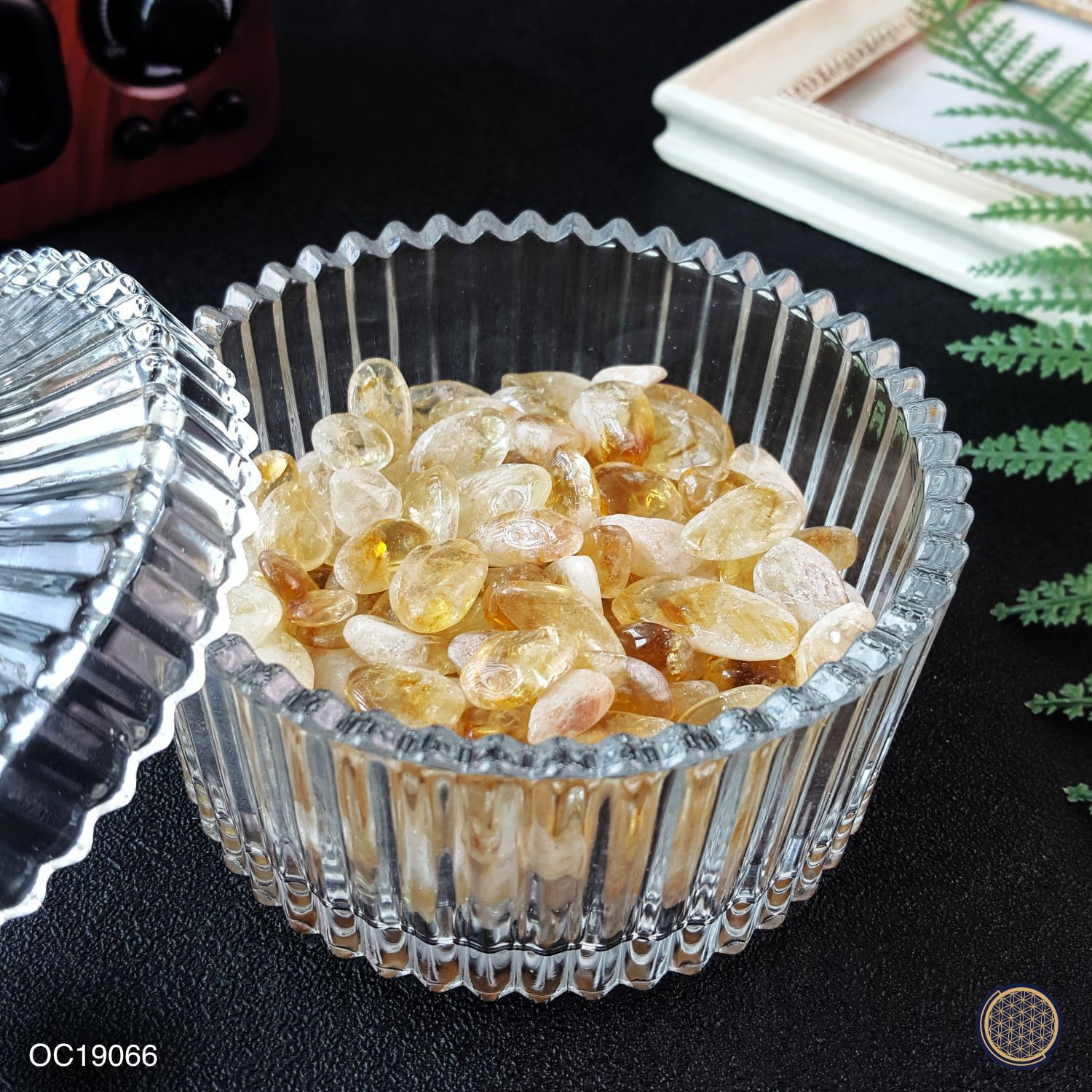 Citrine Chip (Big) -250GM 