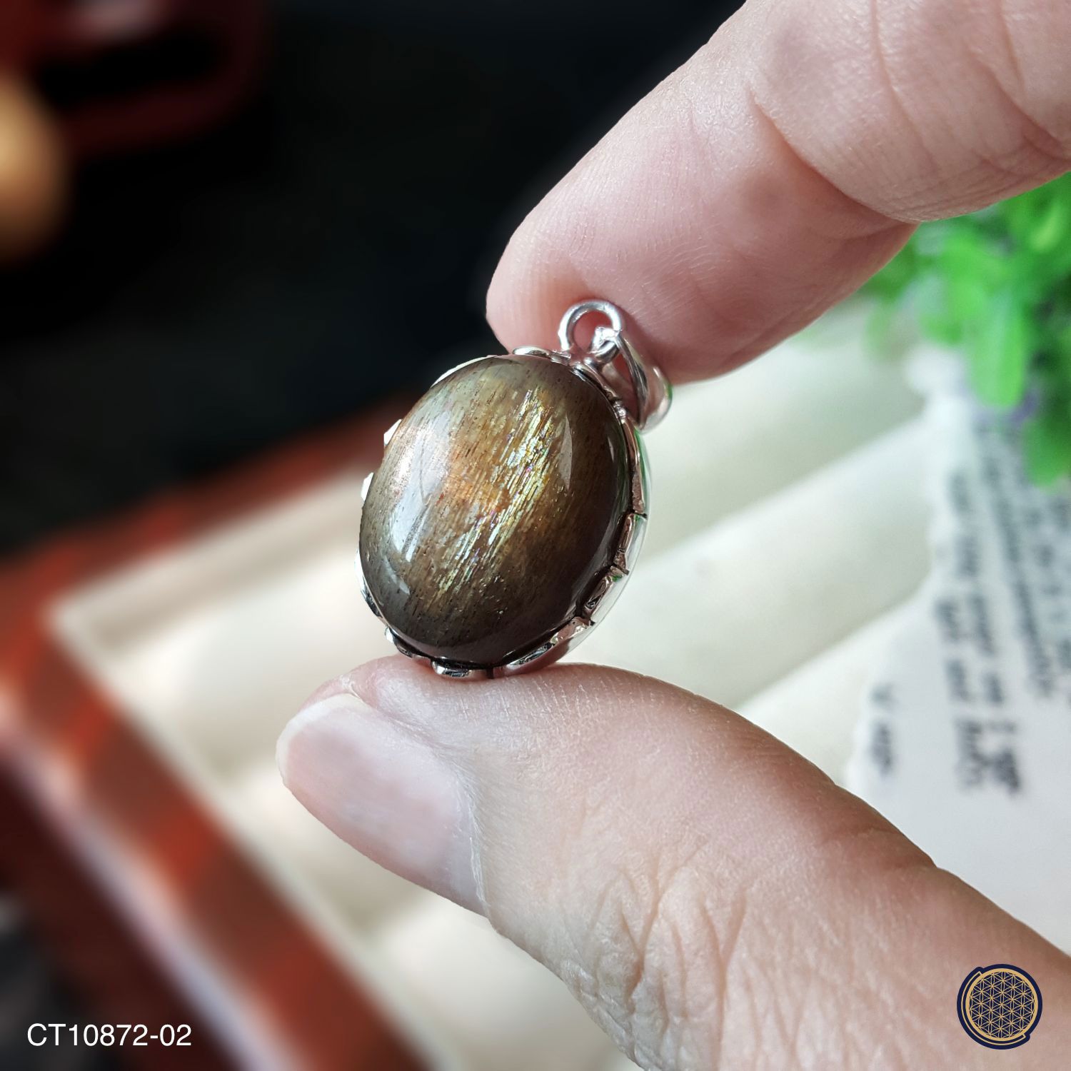 14mm x 25mm 高级黑骨干太阳石纯银吊坠