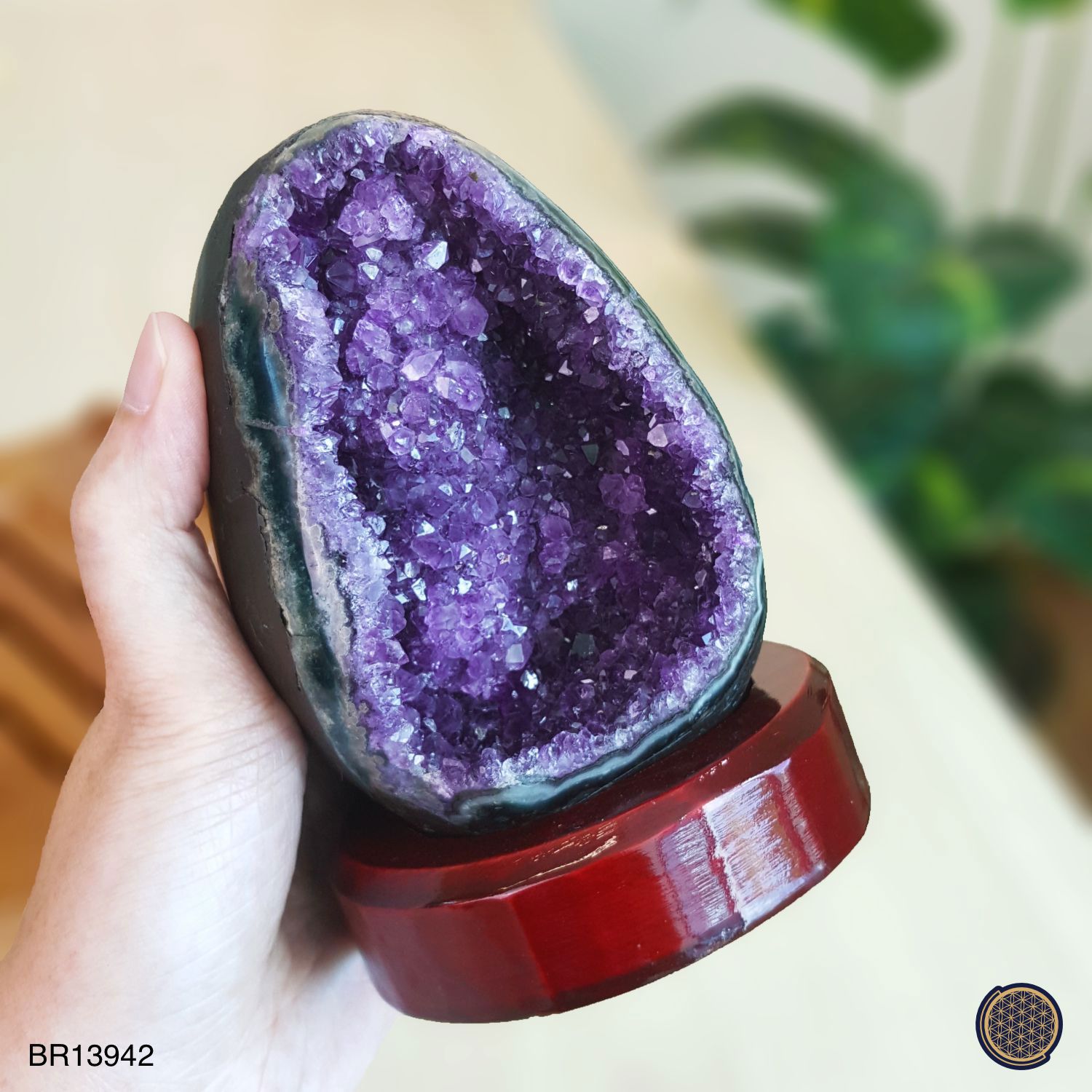 84mm x 125mm 乌拉圭紫水晶洞搭配木座 - 恐龙蛋
