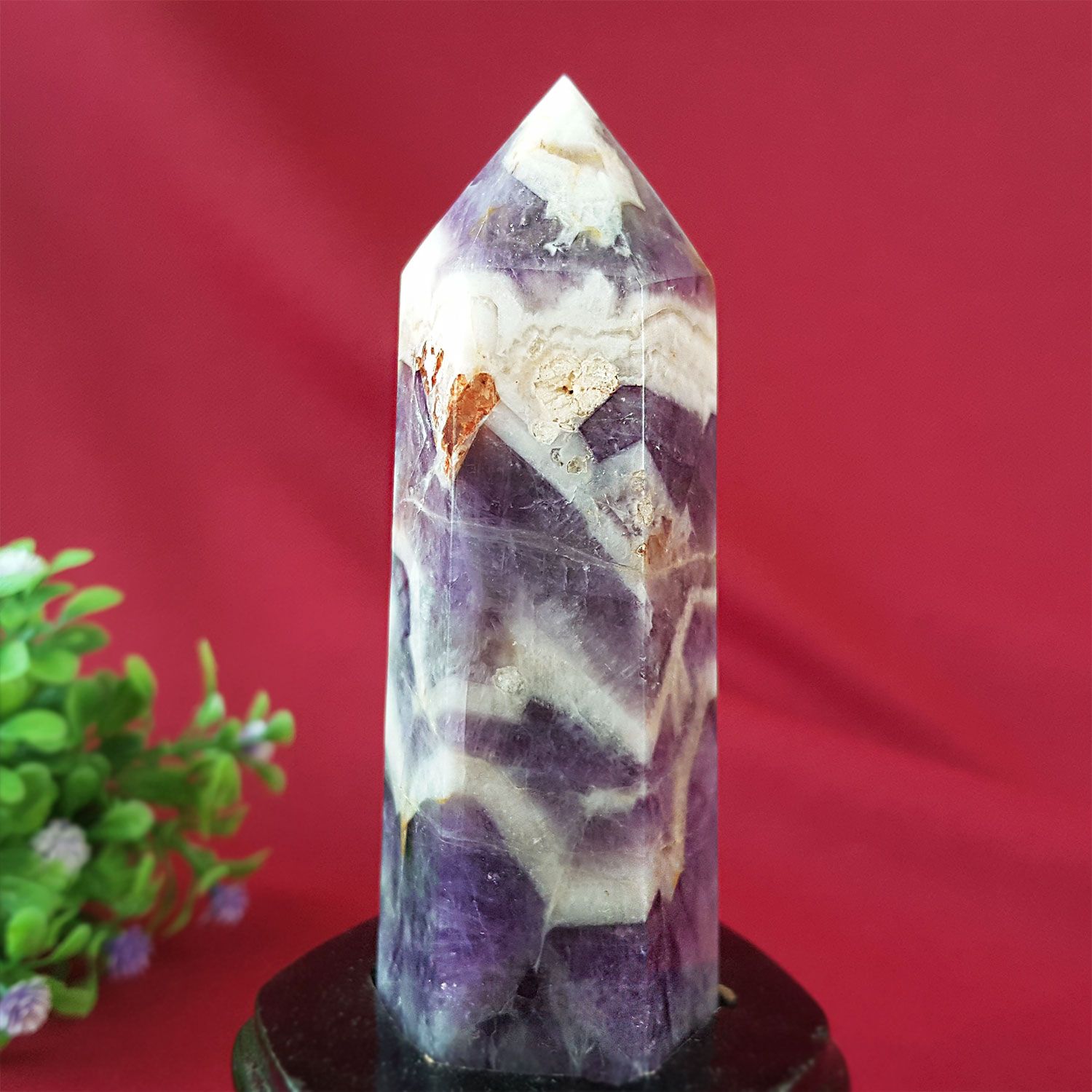 130mm 佛牙紫水晶搭配木座